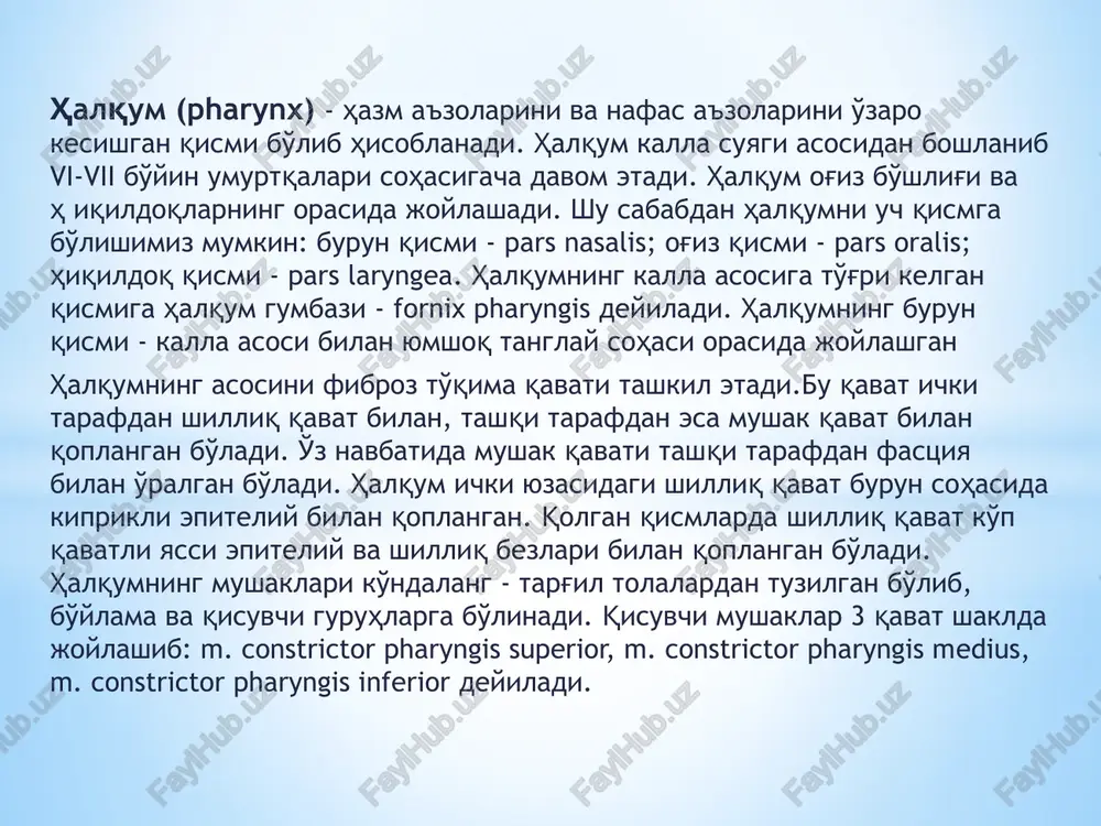 qalqonsimon tog'aydan boshlanadi; b) pars cricopharyngea – uzuksimon tog'aydan boshlanadi. halqumning bo'ylama mushaklariga quyidagilar kiradi: 1) m. stylopharyngeus – bigizsimon – halqum mushagi – chakka suyagining bigizsimon o'simtasidan boshlanib, halqumga birikadi. 2) m. salpingopharyngeus – nay – xalqum mushagi. halqumning burun qismidagi eshituv nayi teshigi soxasida boshlanib, xalqumga birikadi, 3) m. palatopharyngeus – tanglay-halqum mushagi – yumshoq tangalaydan, qanotsimon o'simtaning ilmog'i hamulus pterygoideus dan boshlanib halqum devoriga birikadi. burun bo’limi-epipharynx o’giz bo’limi-mezopharynx hiqildoq bo’limi-hipopharynx xalqum funktsiyasi 1. supero'tkazuvchi halqum kabi organni hisobga olsak, uning funktsiyalarini e'tiborsiz qoldirib bo'lmaydi. dastlab, halqumning o'tkazgich ekanligini ta'kidlash kerak. u o'zining bo'shlig'i orqali havoni o'pkaga uzatadi, bu esa butun nafas olish tizimining normal ishlashini ta'minlaydi. shuni ta'kidlash kerakki, bu organ kengayishi yoki torayishi tufayli chuqurlikka, shuningdek, nafas olish harakatlarining ritmiga ta'sir ko'rsatishi mumkin. bularning barchasi odam nafas olayotgan havoni halqumga qanchalik “yoqtirganiga” bog'liq. xalqum funktsiyasi 2. nafas olish biz halqumning asosiy funktsiyalarini ko'rib chiqamiz. oldingi …