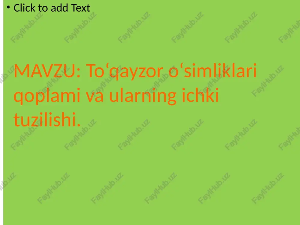 to‘qayzoro‘simliklari va ularning ichki tuzilishi - Page 2