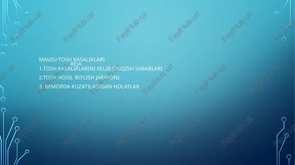 iboringiz uchun rahmat image2.png /docprops/thumbnail.jpeg