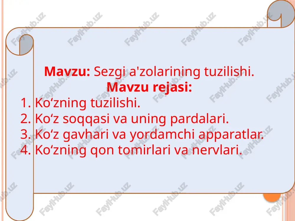ing fibroz qavati ko'z soqqasining eng tashqi qavat pardasidan, ya’ni oq parda va shox pardadan tuzilgan: a) oq parda (sclera) to'qimadan iborat. qovoqlar ochilganda oppoq bo'lib (pishgan tuxumga o'xshab) ko'rinadi. uning qalinligi orqa tomonda 1 mm, old tomonda 0,4-0,6 mm. pardaning orqa tomonida ko'rish nervi o'tadigan teshik bor; b) shox parda (cornea) oq pardaning old tomonida soat oynasiga o'xshab (qavariq linza kabi) joylashgan. uning diametri 12 mm, qalinligi 1 mm. shox pardaning oq pardaga birikkan joyida unchalik chuqur bo'lmagan aylana egatcha joylashgan. sclera bilan cornea chegarasida aylana venoz kanali ko'rinadi. ko'zning o'rta (tomirli) pardasi qon tomir va pigmentlarga boy parda bo'lib, bevosita oq parda ostida yotadi va uch qismga: tomirli parda, kiprikli tana va rangdor pardaga bo'linadi. tomirli parda to'r pardani qon bilan ta'minlaydi, suvsimon tiniq suyuqlik ajratadi. suyuqlik unchalik katta bo'lmagan bo'shliqda bo'ladi: a) tomirli pardaning qismi ko'z o'rta pardasining orqa tomonidagi eng katta bo'lagini tashkil etadi; b) kiprikli …