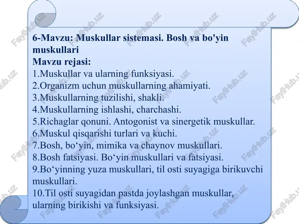 bor. bundan tashqari. uzun muskullarning boshi (caput) va dumi - yopishadigan pay qismi (insertio) bo'ladi. yassi muskullar (qorin muskullarijning yassi payi - aponevrozi bo'ladi. mushaklar taraqqiyoti. mushaklar embrionning o'rta - mezoderma qavatidan rivojlanadi. embrion rivojlanishining 4—5 haftalarida mezodermadan dermatom qavat ajraydi va qolgan qismiga somitlar deyiladi. somitlar ham sklerotom va miotom qavatlarga ajraladi. sklerotomdan skelet suyaklari taraqqiy etsa, miotomlardan ko'ndalang-targ'il mushaklar rivojlanadi.miotomlar ko`proq ventral tomonga zo`r berib o`sishi tufayli kattaroq ventral qismi va undan kichikroq dorsal qismlari farq qilinadi. miotomning dorsal qismidan orqa muskullar takomil epa, ventral qismidan gavdaning old tomonida joylashgan ventral muskullar takomil etadi. orqa miyada miotomlarga nerv tolalari o`sib kiradi. miotomlar 2 qismdan iborat bo`lib: ventral (old) va dorsal (orqa) qismlariga alohida ikkita nerv tortilgan. shuning uchun ham bir miotomdan takomil topgan muskullar bir-biridan uzoqda joylashgan bo`lsa ham bitta nerv bilan inervatsiya qilinadi. embriogenez davrida bir guruh muskullar o`zining takomil topgan yerida qoladi va mahalliy (autoxton) muskullar …