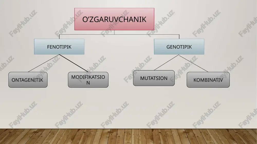 almashishiga tranzitsiya deyiladi; b) purin asosining pirimidin asosi bilan, aksincha, pirimidin asosining purin bilan almashishi transversiya deb nomlanadi. lizin aminokislotasining kodi aaa dan uaa ga o‘zgarishi, glutamin kodi cag dan uag ga o‘zgarishi mumkin har qanday aminokislota kodini mutatsiya tufayli terminator uag kodiga o‘zgarishi polipeptid zanjiri sintezini ertaroq tugallanishiga olib keladi. geterozigota organizmda paydo bo‘lishiga qarab ikkiga bo‘linadi: 1. dominant mutatsiyalar. 2. retsessiv mutatsiyalar. dominant mutatsiyalarga polidaktiliya (ortiqcha barmoqlilik), katarakta (ko‘z shoxpardasining xiralashuvi), braxidaktiliya (kalta barmoqlilik) kabilar misol bo‘ladi. retsessiv mutatsiyalarga gemofi liya, daltonizm, tug‘ma karlik, albinizm kabilar misol bo‘ladi. agar mutatsiya dominant bo‘lsa, birinchi avlodning o‘zidayoq yuzaga chiqadi. retsessiv bo‘lsa, ikkinchi yoki undan keyingi avlodlarda paydo bo‘lishi mumkin. mutatsiyalarning kelib chiqish sabablariga ko‘ra: spontan va indutsirlangan mutatsiyalarga ajratiladi. spontan mutatsiyalarni keltirib chiqaruvchi sabab aniq emas, ular o‘z-o‘zidan paydo bo‘ladigan mutatsiyalardir. atrof-muhitda mutagen omillar ko‘p bo‘lsa, ular spontan mutatsiyalarni bir necha martaga oshirib yuboradi. indutsirlangan mutatsiyalar (keltirib chiqarilgan mutatsiyalar) inson …