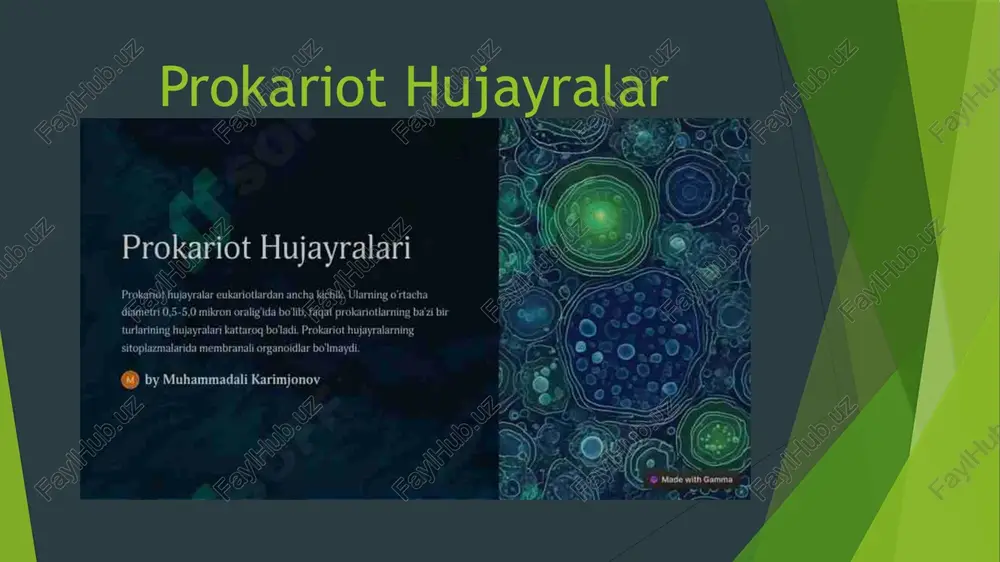 prokariot hujayralar - Page 2