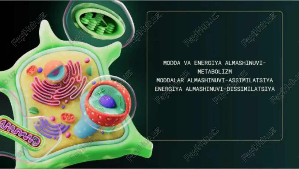 modda va energiya almashinuvi metabolizmi - Page 2