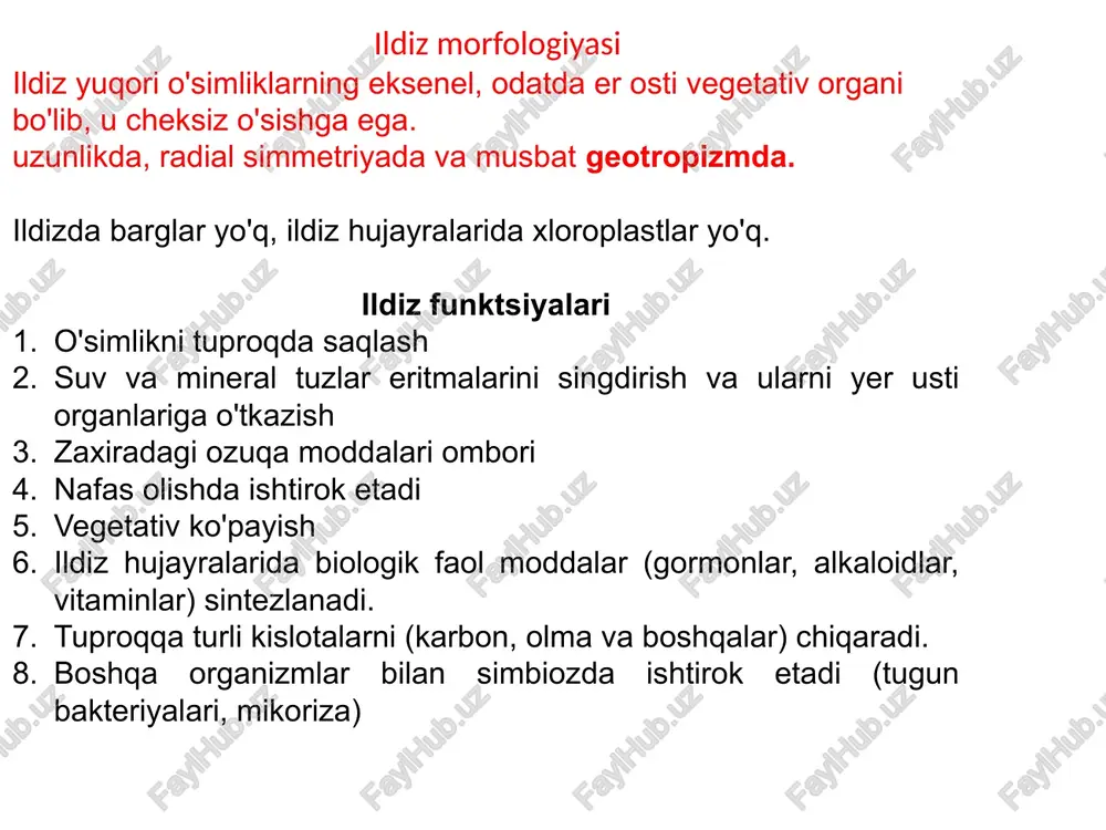 s o'ladi. 3.1.3. ildiz tizimlari 11-rasm. ildiz tizimining turlari. 3.1.4 tuproq o'simliklarning normal o'sishi va rivojlanishi uchun suv va ozuqa moddalari muhim ahamiyatga ega va tuproq bu ozuqa moddalarining manbai hisoblanadi. tuproq - yer qobig'ining ildizlari yashaydigan yuqori, unumdor qatlami. har qanday tuproq uchta asosiy komponentdan iborat: qattiq faza - mayda bo'lingan oddiy va murakkab minerallar, organik moddalar; suyuq faza - tuproq eritmasi; gazsimon faza - tuproq havosi. qattiq faza 90% yoki undan ortiq minerallardan va taxminan 10% organik moddalardan iborat - o'simlik va hayvonlar qoldiqlaridan hosil bo'lgan chirindi . tuproqdagi chirindi miqdori uning unumdorligini belgilaydi. gumus tarkibi tuproq rangiga qarab aniqlanishi mumkin - tuproqda chirindi qancha ko'p bo'lsa, uning rangi quyuqroq bo'ladi. suyuq faza turli mineral tuzlar, karbonat angidrid, mineral va organik kislotalarning suvli eritmasidir. u o'simliklar uchun to'g'ridan-to'g'ri oziq moddalar manbai bo'lib xizmat qiladi. gaz fazasi ildizlarning nafas olishi uchun kislorod manbai bo'lib xizmat qiladi. tuproqning tasnifi qo'pol …