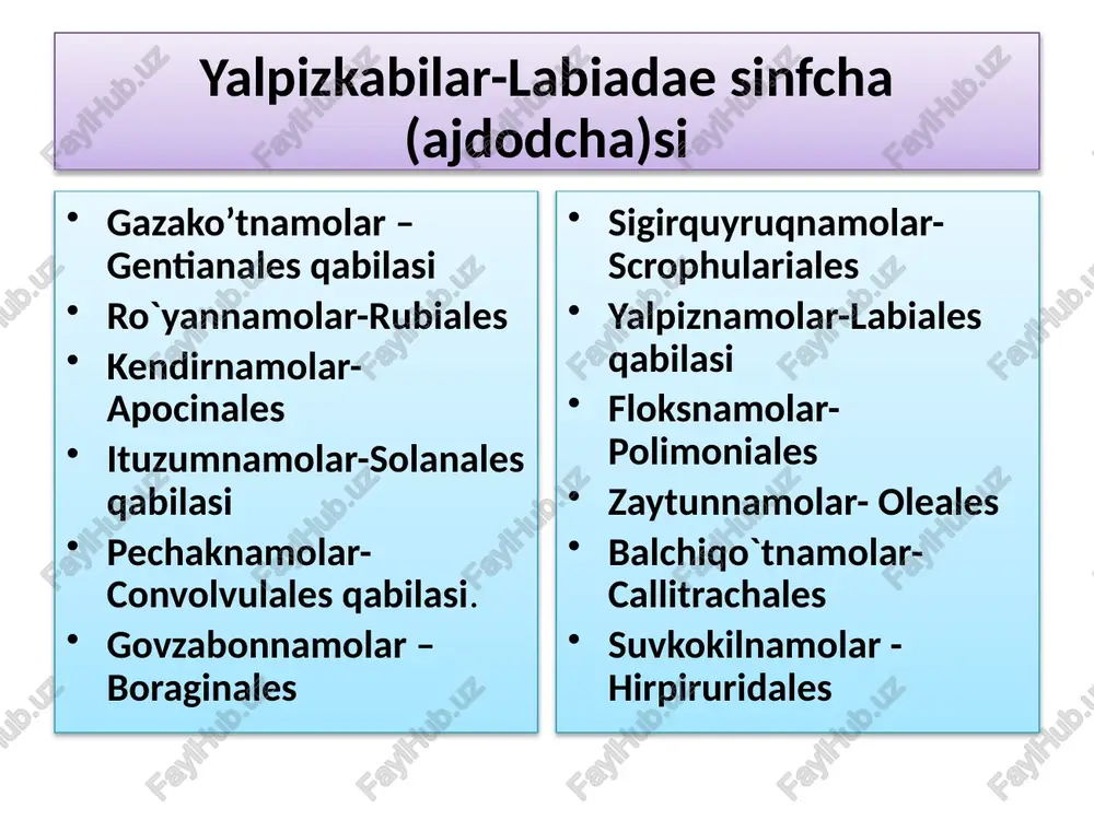 o’simlik sifatida ekiladi. masalan, bir qancha turkumlaridan - sa(5-10) so(5-10) a5-10 g(2-10) qalampir-(garmdori)-capsicum bu turkumning keng tarqalgan turlaridan biri qalampirdir. bir yillik o’t o’simlik. gullari yakka o’rnashgan. mevasi qizil rangda. urug’i rezavor meva. mevasi a va c vitaminlarga boy. ituzum - solanum. bir va ko’p yillik o’t ba'zan chala buta o’simlik. bu turkumning 1300 turi ma'lum. ko’pchilik turlari xalq xo’jaligida katta ahamiyatga ega.o’simliklardir. uning vatani janubiy amerika ya'ni chili davlati hisoblanadi. pomidor-lycopersicon. bir yillik o’t o’simlik bo’lib, sabzavot o’simlik sifatida ekiladi. pomidorning mevasi c, b, b6, p, pp, k vitaminlar va korotinga juda boy. paq-paq (fizalis) - physalis. soya joylarda o’sadigan bir yillik o’t o’simlik. o’zbekistonda 4 ta turi o’sadi. chinq’il–lysium. tikanli buta o’simlik. bu turkumning qora chinqil (l.ruthenicum) turi manzarali o’simlik sifatida keng tarqalgan. mingdevona –hyoscyamus. o’zbekistonda bu turkumning 5 turi uchraydi. qora mingdevona (h.niger) turi ko’p tarqalgan. bu o’simlik ikki yillik, uning poya va barglari mayin tuklar bilan …