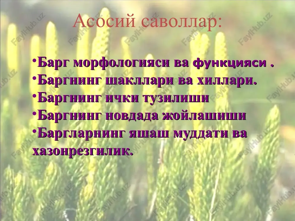 di. bo'laklarga bo'lingan barglarda kertigining qirqilishi uning eniga nisbatan 2/3 qismidan oshib ketmaydi (chinor, zarang barglari). kertik qirrali barg yaprog'ining o'rta tomirigacha etib borsa, qirqilgan barg deyilib, uning qismlari esa segmentlar deyiladi (sabzi, qoqi o't barglari). yonbargchalar ko'pchilik o'simliklarda barg bandi asosida maxsus o'simtalar bo'ladi. bir o'simtalar yonbargchalar deb atalib, ularning shakli, o'lchami va vazifalari turli o'simliklarda turlicha bo'ladi. shakl jihatidan mazkur bargchalar tuksimon, pardasimon, tangachasimon va tikansimon ko'rinishida uchraydi. yonbargchalar odatda ikki pallali o'simliklar uchun xosdir. ular kurtaklarni ximoya qilishi hamda rosmana barg yaprog'i sifatida fotosintez vazifasini bajarishi ham mumkin barg tomirlanishi barglar uchun tomirlanish xarakterlidir. tomirlar barg yaprog'i bo'ylab tarqalgan o'tkazuvchi-nay tola boylamlaridan iborat. barg yaprog'ida tomirlar turli shaklda joylanishi mumkin. shuning uchun ham oddiy (ninabarglilarda), dixotomik, parallel, yoysimon va to'rsimon tomirlanish farq qilinadi. barg funktsiyasi: fotosintez jarayonini amalga oshirish suv bug'latish(transpiratsiya) gaz almashinuvi (nafas olish) zapas ozuqalarni saqlash himoya vazifasini bajarish kupayish organi vazifasini bajarish fotosintez fotosintez …