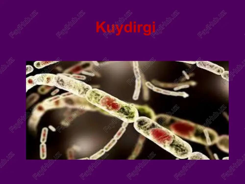 kirib boradi. hujayra ichida himoya antijeni ishtirokida ikkala toksinning toksik ta'siri amalga oshiriladi. kuydirgi toksinining ta'sir qilish mexanizmi oʻldiradigan toksin – b. anthracisning asosiy toksini - makromolekulalarning hujayra ichidagi sintezini buzadi, bu hujayra o'limiga olib keladi, birinchi navbatda makrofaglar - makrofaglar nobud bo'lganda, sitokinlar (il1, tnf va boshqalar) chiqariladi, ular mikrosirkulyatsiya va qon ivish tizimining buzilishiga olib keladi, infektsion-toksik shok rivojlanishi mumkin. shish toksini- adenilat siklaza tizimining disfunktsiyasini keltirib chiqaradi, bu esa hujayralardan suv va tuzlarning chiqishiga va shishning rivojlanishiga olib keladi. epidemiologiya infeksiya manbai – kasallangan uy va yovvoyi hayvonlar hisoblanadi kuydirgi sporalari rezervuari – infeksiyalangan tuproq hayvonlar qo’zg’atuvchilarni siydik, najas bilan tashqi muhitga chiqaradi kasallikdan keyin immunitet – turg’un, davomli yuqish yo`llari: kontakt yoli - kasal hayvonni parvarish qilish, so'yish, go'shtini maydalash, hayvonlardan olingan xom ashyo (teri, yuhg) bilan ishlashda yuqadi. aerozol - chorvachilik xomashyosi (jun, mo'yna, teri) bilan ishlaganda enteral (alimentar)- zararlangan sut mahsulotlari, go'sht orqali transmissiv …