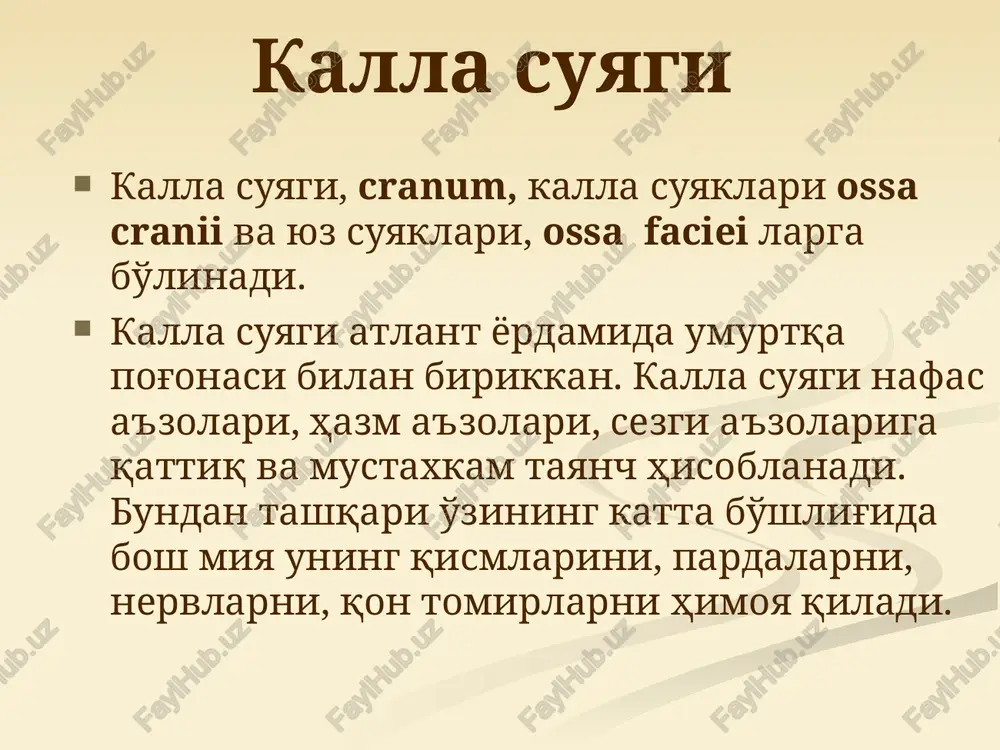 ral cheti foramen jugularis shakllantirishda ishtirok etadi. yuqori yuzasida “s” simon sinus egati, sulcus sinus sigmoidei bor. ensa suyagining yon qismlari oldingi tomonda asos qismi pars basillaris ga davom etadi. bu qism 20 yoshlarda ponasimon suyak bilan sinostozlashadi. asos qismning tashqi yuzasida halqum do'mboqchasi, tuberculum pharyngeum ichki yuzasida miya poyasi yotadigan tarnovi, clivus bor. ensa suyagi os occipitale tepa suyaklari tepa suyaklari, ossa parietale juft suyaklar, kalla gumbazini shakllantirishda ishtirok etadi. ularning har biri to'rtburchak shaklida bo'lib, to'rtta qirrasi, to'rtta burchagi bor. ya'ni peshona qirrasi margo frontalis,ensa qirrasi margo occipitalis, sagittal qirrasi margo sagittalis,chakka suyagi pallasiga yopishuvchi qirrasi margo sguamosuslar va peshona burchagi angulus frontalis,ensa burchagi angulus occipitalis, so'rg'ichsimon o'siqcha qaragan burchagi angulus mastoideus,ponasimon suyak katta qanoti bilan tutashuvchi burchagi angulus sphenoidalis farqlanadi. suyakning tashqi yuzasi silliq tepa suyagi do'ngligi tuber parietale ko'rinsa, ichki yuzasida miya izlari, qon tomir izlari mavjud. tepa suyagi os parietale peshona suyagi peshona suyagi, os …