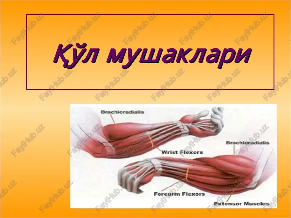 ng supinatsiya qiladi. m.teres minor kichik yumaloq muskul; kurakning lateral qirrasidan boshlanadi va elkaning katta do'mbog'iga birikadi. vazifasi: elkani supinatsiya qiladi. m.teres major katta yumaloq muskul, kurakning pastki burchagining tashqi yuzasidan boshlanib, elkadagi crista tuberculi minoris ga yopishadi. vazifasi: qo'lni orqaga va pastga tortadi va ichkariga buraydi. m.subscapularis kurak osti muskuli, kurakning qovurg'a yuzasi, facies costalis ni egallagan. elkaning tuberculum minus ga yopishadi. m.latissimus dorsi orqaning serbar muskuli (orqa muskullarida bayon qilingan). qirra usti mushagi (m. supraspinatus) boshlanishi: kurak suyagining qirra usti chuqurchasidan birikishi: elka suyagining katta bo'rtig'i funktsiyasi: elkani uzoqlashtiradi, elka bo'g'imi kapsulasini tortadi qirra osti mushagi (m. infraspinatus) boshlanishi: kurak suyaginig qirra osti chuqurchasidan birikishi: elka suyagining katta bo'rtig'i, elka bo'g'imi kapsulasi funktsiyasi: elkani tashqariga buradi, elka bo'g'imi kapsulasini tortadi kichik va katta yumaloq mushaklar (mm. teres minor et major) boshlanishi: kurak suyagidan birikishi: elka suyagining katta va kichik bo'rtig'i funktsiyasi: kichik mushak elkani tashqariga buradi, katta mushak …