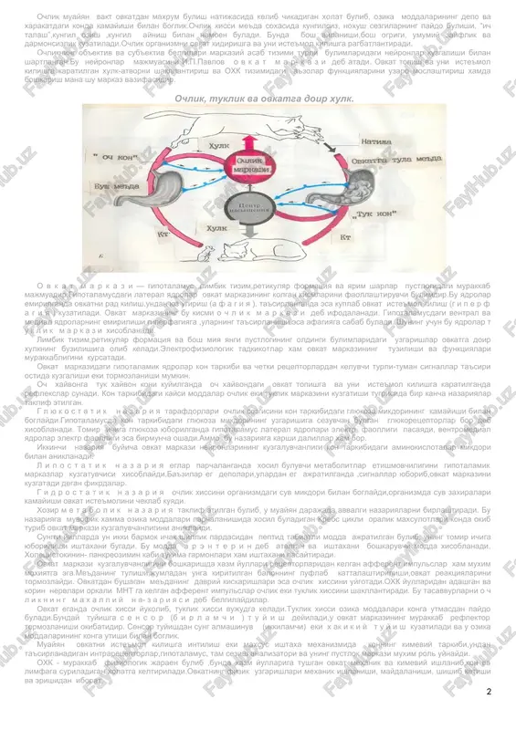 ro suyuklikda osmotik bosimni bir me'erda saklashda ishtirok etadi.ular kuzgaluvchan xujayra membranasida xujayraning bioelektrik faolligini ta'minlab turuvchi ion gradienti (farki)ni yaratadi. ovkat xazm kilish yullaridagi jaraenlar ketma-ketligi. kondagi ozik moddalarning mikdori me'eriy konstantadir. uning kamayish tomonga siljishi ovkat topishga karatilgan xulk-atvorni shakllantiradi va bundan keyin ovkat kabul kilinadi.birok ozik moddalarning keskin etishmovchiligi eki uzok muddat kabul kilinmasligi gomeostazni buzilishiga olib keladi,bu esa xaet uchun xavflidir.shu bilan birga odam organizmi ovkat tarkibidagi oksillarni,eglarni va karbonsuvlarni kayta ishlamasdan uzlashtira olmaydi,chunki ular xujayra menbranasidan uta olmaydi va konga surilmaydi. bu muxim funktsiyani organizmda ovkat xazm kilish tizimi bajaradi. kabul kilingan ovkatning fizikaviy va kimeviy kayta ishlanishi ovkat xazm kilish (oxk) deyiladi. natijada ovkat tarkibiy kismlari uzining energetik va plasstiklik kimmatini saklab,turga oid maxsusligini yukotadi,organizm uzlashtira oladigan xolatga utib,modda almashinuvida ishtirok eta boshlaydi. ochlik muayyan vakt ovkatdan maxrum bulish natijasida kelib chikadigan xolat bulib, ozika moddalarining depo va xarakatdagi konda kamayishi bilan boglik.ochlik xissi …