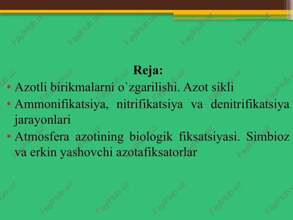 amida dezaminatsiya qilinib, azotli moddalar ammiak yoki ammoniy shakliga o‘tadi. oqsillar ammonifikatsiyasi (azotni minerallanishi) 1)ammiakni ajralishi bilan boradigan dezaminlanish r. ch2· chnh2 · soon r-ch=ch· soon +nh3 2)oksidlanish bilan boradigan dezaminlanashi r. ch2 · chnh2 · soon +1/2o2 r. coh · soon+nh3 3) qaytarilish natijasida dezaminlanish r. ch2-chnh2- soon + h2 r-ch2 · sn2· coon +nh3 4) dekarboksillanish reaktsiyasi r-ch2-chnh2-cooh r- ch2-nh2+co2 3-bosqich: nitrifikatsiya: ammoniy ionlari (nh₄⁺) nitrifikatsiya jarayoni orqali nitrit (no₂⁻) va nitrat (no₃⁻) ga aylanadi. denitrifikatsiya: ayrim sharoitlarda ammoniy yana gaz holatidagi azotga (n₂) aylanib, atmosferaga chiqib ketishi mumkin. o‘simliklar tomonidan so‘rilishi: ba’zi o‘simliklar nh₄⁺ ionlarini o‘ziga singdirib, o‘sish jarayonida ishlatishi mumkin. pseudomonadaceae oilasi pseudomonas avlodi p. fluorescens p. aeruginosa bacillaceae oilasi clastridium avlodi cl.sporogenes cl. putrificus bacillaceae oilasi bacillus avlodi b.mycaides b. subtilis enterobacteriaceae oilasi proteus avlodi proteus vulgaris ammonifikatsiyaning salbiy ta’siri suv va tuproq ifloslanishi – ammonifikatsiya natijasida ortiqcha nh₃ yoki nh₄⁺ to‘planishi ekotizimga zarar yetkazishi …