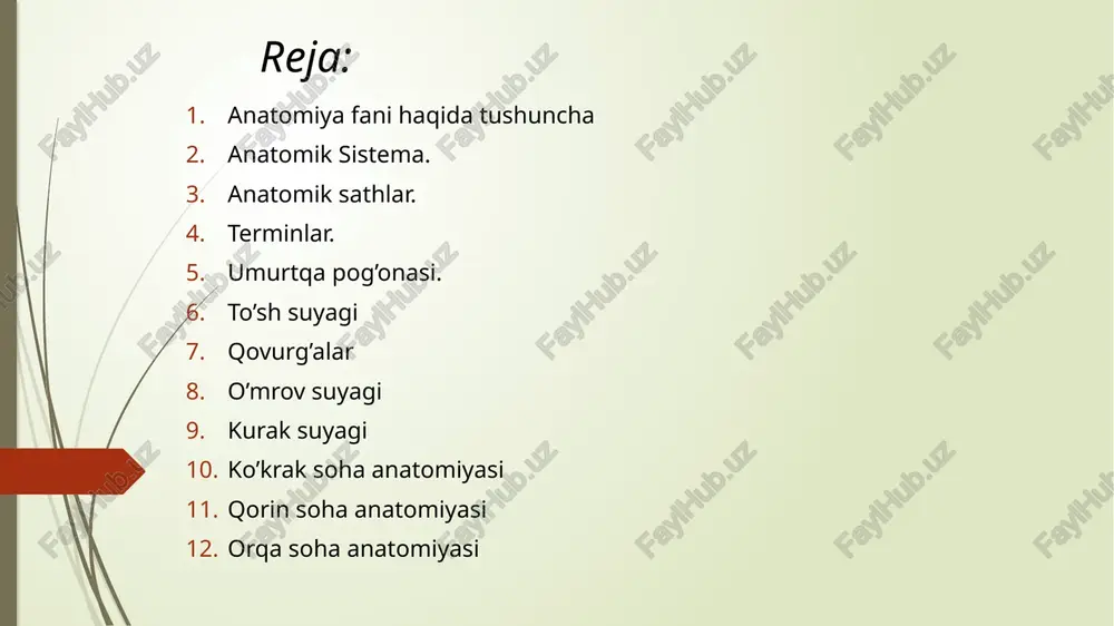 n kattaroq (major) yoki kichikroq (minor), katta (magnus) yoki kichik (parvus) terminlar umurtqalar (vertebrae) klassifikatsiyasi umurtqalar asosan ikki guruhga bo’lib o’rganiladi: 1. erkin umurtqalar: bo’yin umurtqalari (vertebrae cervicales) ko’krak umurtqalari (vertebrae thoracicae) bel umurtqalari (vertebrae lumbales) 2. qo’shilib ketgan umurtqalar: (ular qo’shilib yaxlit bir suyakni hosil qiladi) dumg’aza suyagi (os sacrum) dum suyagi (os coccygis) umurtqalarning umumiy anatomik tuzilishi 1. umurtqa tanasi (corpus vertebrae) 2. umurtqa yoyi (arcus vertebrae) 1) yoyning plastinkasi (lamina arcus vertebrae) 2) yoyni tanaga birlashtirib turuvchi oyoqchalari (pedinculi arcus vertebrae) umurtqa tanasi va umurtqa yoyi qo’shilishidan hosil bo’lgan umurtqa teshigi (foramen vertebrae) !!! barcha umurtqalarning teshiklari (foramina vertebralia) ustma-ust joylashib uzun markaziy kanal (canalis vertebralis) ni hosil qiladi. bu kanalda esa orqa miya joylashadi 3. umurtqa o’simtalari (proccessus vertebrae) o’tkir o’siq (proccessus spinosus) yonbosh o’siq (proccessus transversus) yuqorigi va pastki bo’g’im o’sig’i (proccessus articularis superior et inferior) umurtqalarning o’ziga xos xususiyatlari: ko’krak umurtqalari (vertebrae thoracicae) tanasi …