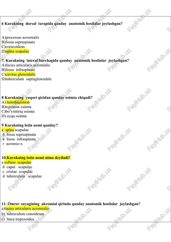 simon yadro 14.kurakning qirralarin kórsating? a) pastki (margo inferior), lateral (margo lateralis), yuqori (margo superior) b)pastki (margo inferior), lateral (margo lateralis),medial (margo medialis) c) yuqori (margo superior), pastki (margo inferior), lateral (margo lateralis) d)medial (margo medialis), lateral (margo lateralis), yuqori (margo superior) 15.kurakning qanday ósiklari bor? a)qóshimcha (processus accesorius) b)akromion (acromion) tumshuqsimon ósik (processus coracoideus) c)kóndalang va ótkir qirli ósik d)tojsimon ósik (processus coronoideus) 16. ómrov (clavicula) qanday qismlardan turadi a) tanasi, akromial uchi, sternal uchi b) asosi, boshchasi, tanasi c) uch qıri, uch burchakligi, ikki yuzasi d) proksimal uchi, tanasi, distal uchi 15. tugri javoblarni kórsatińg, omrov (clavicula): a) elka kamari suyaklari tósh uchi (extremitas sternalis) va akromial uchina (extremitasacromialis) ega b) s shakldagi yassi suyak c) o'sik - akromion (acromion vatana) d) anatomic boyin va xirurgik boyin 18. kurakda elka suyagi bilan birigiwshl buwin oyiqshasi qaerda joylashqan? a)akromionda b) kuraknin’ joqargi muyashida s) tumsiq simon usikta d)kuraknin’ lateral …