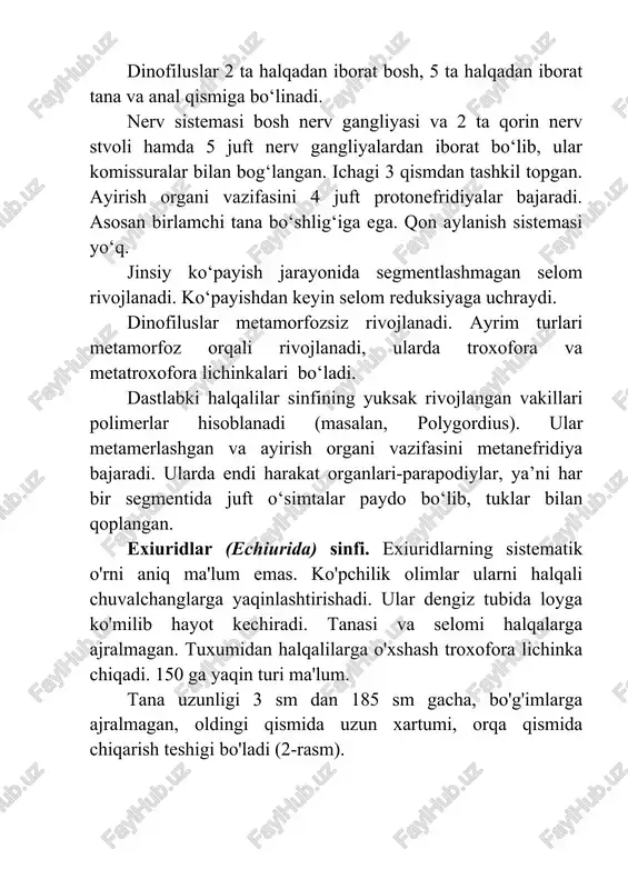 almagan, oldingi qismida uzun xartumi, orqa qismida chiqarish teshigi bo'ladi (2-rasm). 2-rasm. exiurid (echiurus echiurus) ning qorin tomondan ko'rinishi. 1 -xartum, 2-xartum o'simtasi, 3-tanasi, 4-jinsiy teshiklari, 5 - anal qillari, 6 –annual teshigi. og'zi xartumi asosida joylashgan. ba'zi turlarining xartumi ikkiga ajralgan. xartumining chuqurlashgan qorin tomonida kipriklar bo'ladi. kipriklar suv va undagi mayda organizmlarni og'iz tomonga haydaydi. og'zidan keyinroqda 2 ta yirik qillar joylashgan. tanasining keyingi qismida ham ko'ptuklilarning qillariga o'xshash 2 qator kipriklari bo'ladi. teri-muskul xaltasi devori halqalilarga o'xshash. tanasi bir qavat epiteliy bilan qoplangan. epiteliy tana sirtiga kutikula ishlab chiqaradi. epiteliy ostida 2 qator muskullar bor. selom bo'shlig'ini peritoneal epiteliy o'rab turadi. hazm qilish sistemasi uzun egri-bugri naydan iborat, oldingi, o'rta va orqa ichakka bo'linadi. ichak tanadan 10 martagacha uzunroq. orqa ichak joylashgan bir juft anal xaltachalari 12-300 ta hilpillovchi voronkalar bilan qoplangan. voronkalarning bir uchi selomga, ikkinchi uchi anal xaltachasiga ochiladi. anal xaltachalari nafas olish va ayirish …