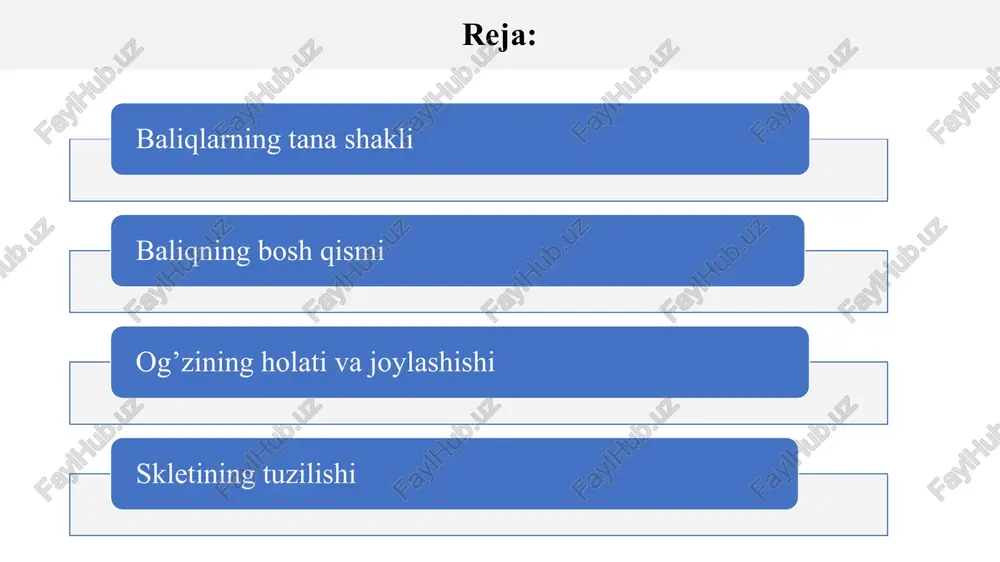 atlar kiradi. ba'zi baliqlar g'alati tana shakliga ega, masalan, dengiz otlari. barcha baliqlarning tana shakli o’zlari yashab turgan muhitga morfo-fiziologik moslashgan bo’lib, bu oziq izlash, suv qarshiligini yengib o’tish, dushmandan himoyalanish kabi xususiyatlarni namoyon etadi. bosh qismi tana qismi dum qismi baliqning bosh qismi. baliq boshining shakli juda xilma-xil va ayni paytda yashash sharoitlariga moslashgan bo’ladi. qilich baliqlarining ustki jag‘i uzun cho‘zilgan. u kuchli hujum quroli bo‘lib, unga yuqori suzish tezligini beradi. kurakburunning boshi belkurak shakliga ega, tashqi tomondan, baliq boshida quyidagi organlar ajralib turadi. tumshuq – boshning uchidan ko’zning oldingi chetigacha bo’lgan bo’shliq. peshona – bu ko’zlar orasidagi bo’shliq. tomoq – jabra yaprog’idan ko’krak qanotlarigacha bo’lgan bo’shliq. bosh qismida: og‘iz, burun teshiklari, ko’zlar, jabra qopqoqlari mavjud. ko’zlar odatda boshning yon tomonlarida joylashgan. ko’zlarning joylashishi yashash sharoitlari bilan bog’liq. suv tubida yashovchi turlarda ko’zlar boshning tepasida joylashgan. pelagik zonadagi baliqlarda yoki hatto uning pastki qatlamlarida ko’zlar boshning yon tomonlarida taxminan …