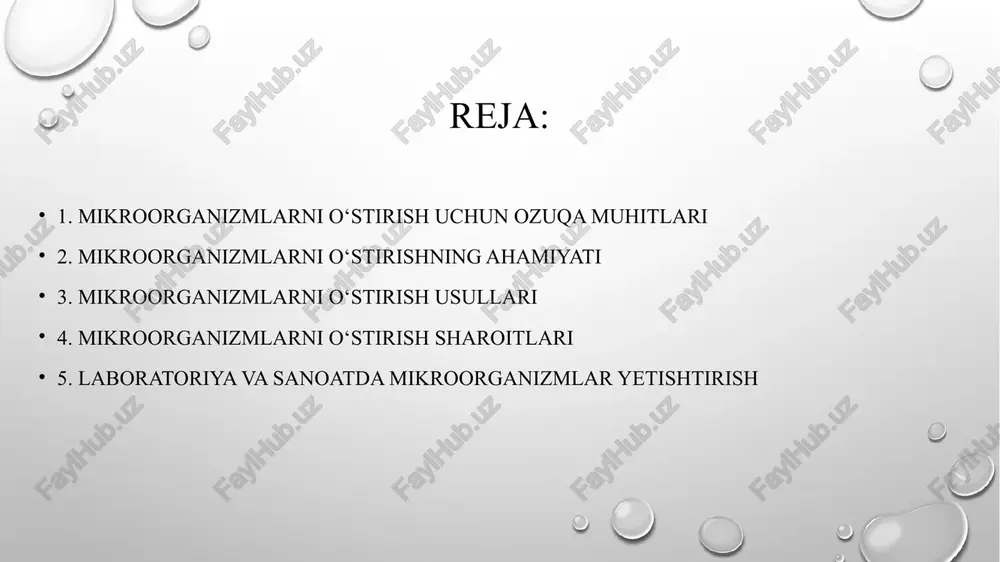 – ichak tayoqchasini tanlab o‘stirish uchun. 3. differensial muhitlar – turli mikroorganizmlarni ajratish va identifikatsiya qilish uchun. masalan: endo agari – laktoza fermentatsiyasini ajratish uchun. 4. obligat anaeroblar uchun muhitlar – kislorodsiz sharoitda o‘suvchi mikroblar uchun. masalan: tioglikolatli bulon. 5. universal muhitlar – turli xil mikroorganizmlar uchun mos keladigan muhitlar. masalan: saburo agari – zamburug‘ va bakteriyalarni o‘stirish uchun. 3. maxsus ozuqa muhitlari transport muhitlari – namunalarning steril sharoitda saqlanishi uchun ishlatiladi (styuart muhiti). kletka madaniyatlari uchun muhitlar – viruslar va ba’zi bakteriyalarni o‘stirishda ishlatiladi. mikroorganizmlarni o‘stirish uchun turli xil muhitlardan foydalaniladi. ularning tarkibi va xususiyatlari mikroorganizmlarning fiziologik ehtiyojlariga bog‘liq. to‘g‘ri muhit tanlash mikroorganizmlar o‘sishini ta’minlash va ularni tadqiq qilish uchun juda muhim hisoblanadi. mikroorganizmlarni o‘stirishning ahamiyati mikroorganizmlarni sun’iy muhitda o‘stirish ularni o‘rganish, sanoatda qo‘llash va tibbiyotda diagnostika maqsadida muhim hisoblanadi. ularning o‘sish jarayonini nazorat qilish va mos sharoitlar yaratish orqali turli sohalarda foydalanish mumkin. 1. fan va tibbiyotdagi ahamiyati …