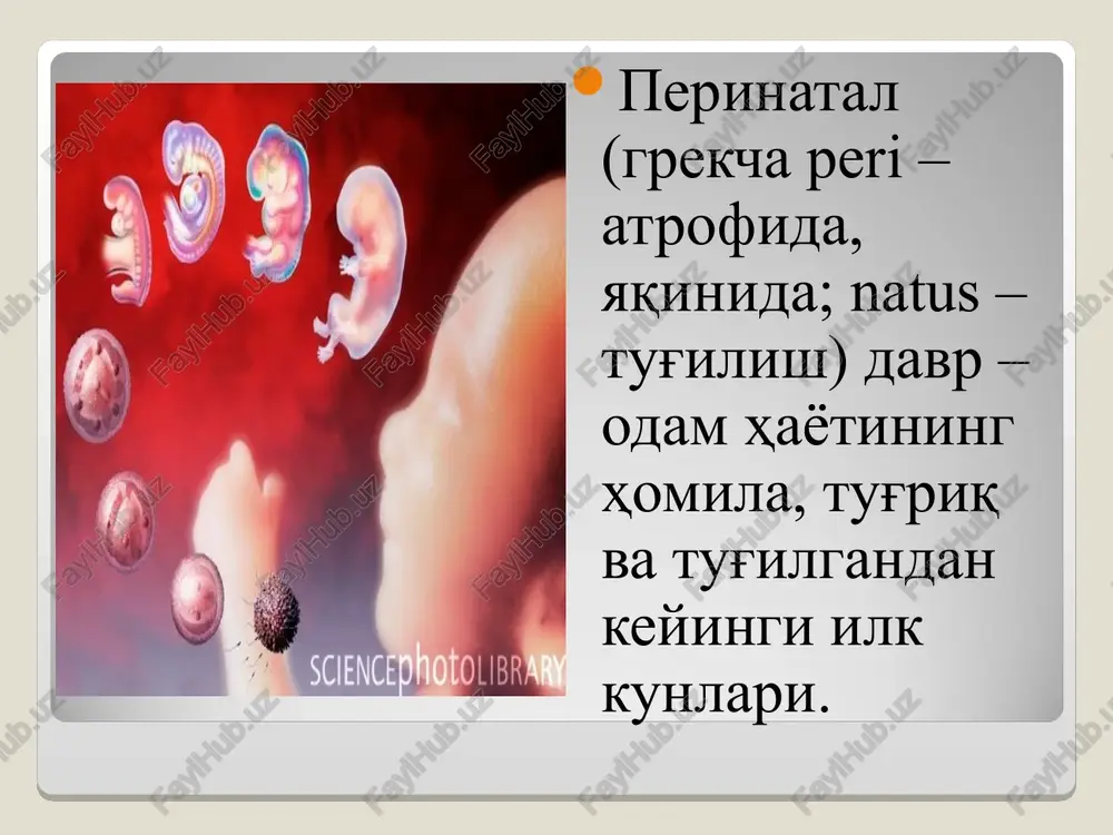 sht qila oladi 28-haftada ko'zlarini ochadi, so'rish va yutishni o'rganadi 30 haftada ko'zi bilan yorug'lik manbasini kuzata olish qobiliyati shakllanadi perinatal davrning oxirgi haftalarida muayyan turdagi tovush va ta'mga nisbatan ma'qul ko'rish xususiyati shakllanadi 38 haftaga kelib yashash uchun kerak 70 ga yaqin reflektor harakatlar shakllangan bo'ladi tug'ilish davri – inson hayotidagi ilk psixik inqiroz davridir nima uchun? hayotning bola uchun odatiy bo'lgan muhitdan butunlay farqli muhitda davom ettirila boshlanishi. yangicha sharoitda yashash uchun zarur xulq-atvor shakllarinining hali shakllanmaganligi. tug'ilganda bolaning teri sezgisi, ta'm va hid bilish sezgilari ko'rish va eshitish nisbatan yaxshi rivojlangan bo'ladi 2-3 haftada tovushda, 3-4 haftada odam ovozida, 4-5 haftada yarqin buyumlarda diqqatni qisqa muddatga jamlash xususiyati shakllanadi taxminan 1 oydan keyin “tirilish kompleksi” – onasining yuzida nigohini ushlab turish, unga qo'l-oyoqlarni faol harakatlantirib, tabassum qilib murojaat etish xususiyati shakllanadi a.sleyter (7 soatlik chaqaloqlar bilan tajriba) 41 sekund/20 sekund 41 sekund go'daklik davrida (taxminan 2 oydan …
