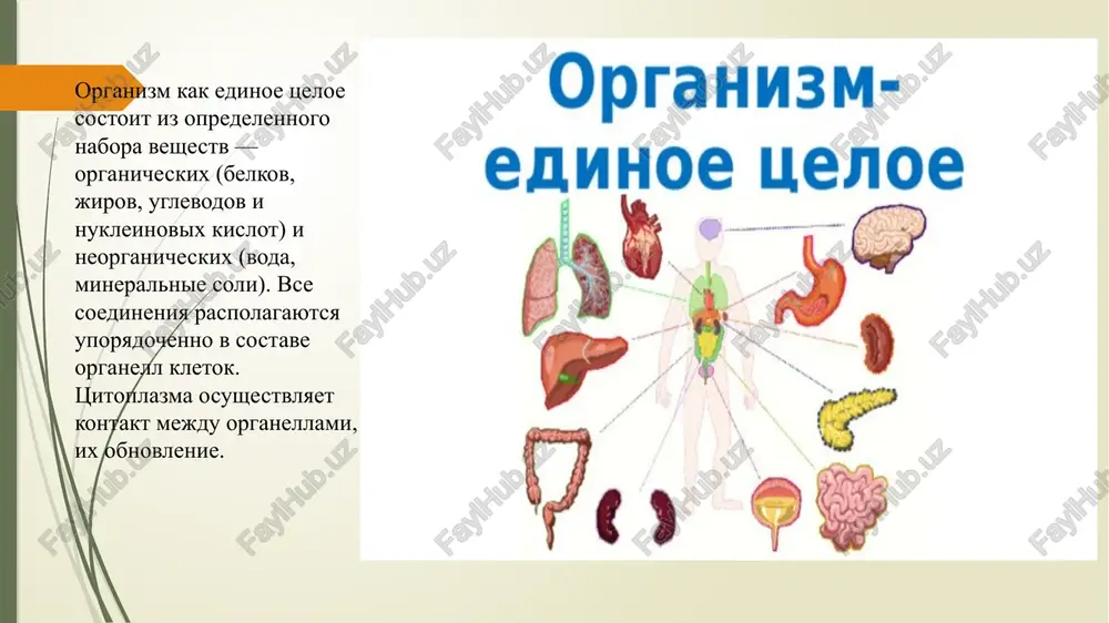 hestvovat otdelno.. oni svyazani mejdu soboy i podderjivayut drug druga. naprimer,rasteniya nasishayut atmosferu kislorodom i ochishayut ee ot uglekislogo gaza. rasteniya nujni dlya jizni jivotnix. daje po teorii evolyutsii govoritsya, chto jivoe proizoshlo ot nejivogo. kajdaya kletka jivogo organizma pokrita membranoy, kotoraya "sobiraet" ee v odno tseloe, pri etom, obespechivaya ey vzaimosvyaz s okrujayushim mirom i drugimi kletkami. poetomu, i odnokletochnie jivie sushestva yavlyayutsya tselostnimi strukturami, sposobnimi k samostoyatelnoy jiznedeyatelnosti. kakoy samiy vajniy organizm v cheloveke? golovnoy mozg osushestvlyaet rabotu vsex organov cheloveka. odin iz osnovnix ego otdelov ― prodolgovatiy mozg, v kotorom naxodyatsya jiznenno vajnie strukturi. eto tsentr dixaniya, tsentr podderjaniya krovyanogo davleniya, tsentr serdechnogo ritma, tsentr regulyatsii temperaturi tela. takje prodolgovatiy mozg kontroliruet kojnuyu chuvstvitelnost i rabotu mishts. kakoy organ glavniy v chelovecheskom tele? serdtse — glavniy organ v tele cheloveka serdtse yavlyaetsya odnim iz samix glavnix organov cheloveka. eto svoeobrazniy nasos, «kachayushiy» krov v sosudistuyu sistemu. ot …