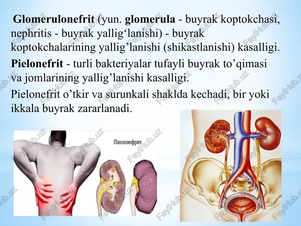 e’yoriy va katta intensivlikda tatbiq etiladi. bolalar surunkali glomerulonefritida jismoniy mashqlar bilan maxsus guruhda, yengil kechishida - tayyorlov guruhida shug‘ullanishadi. mashg‘ulotlarda mayda va o ‘rta mushaklar guruhiga umumrivojlanish mashqlari, kata mushaklar guruhiga kam sonda va to'liq bo‘lmagan amplitudada mashqlar belgilanadi. kasalni bir tartibdan ikkinchi tartibga o ‘tkazish qisqartirilgan muddatlarda organizmning umumiy ahvoli yaxshilanganda amalga oshiriladi. bo‘g‘im kasalliklari tayanch-harakat apparati tizimining barcha kasalliklari odatdagi mustaqil va ikkilamchi turlarga bo'linadi, ikkilamchi turi organizmda yuzaga keladigan boshqa patologik jarayonning asorati sifatida yuzaga keladi. o'z navbatida, mustaqil kasalliklar ikkita asosiy guruhga bo'linadi: artritlar va artrozlar. ularning asosiy farqi kasallikning sababidir. davolash jismoniy tarbiyasining vazifalari: markaziy asab tizimining tonusini normallashtirish; metabolizmni kuchaytirish. bo’g’imlarda qon va limfa aylanishini faollashtirish; bo’g’imlarda harakatchanlikni tiklash yoki yaxshilash keyingi disfunktsiyalarni va mushak atrofiyasini oldini olish; uy va mehnat jarayonlariga moslashishni tiklash. artrit - bu yallig'lanish jarayoniga asoslangan bo'g'im, uning qobiqlariga va periartikulyar to'qimalarning sinovial membranasida lokalizatsiyalangan kasallik. djtning vazifalari: umumiy …