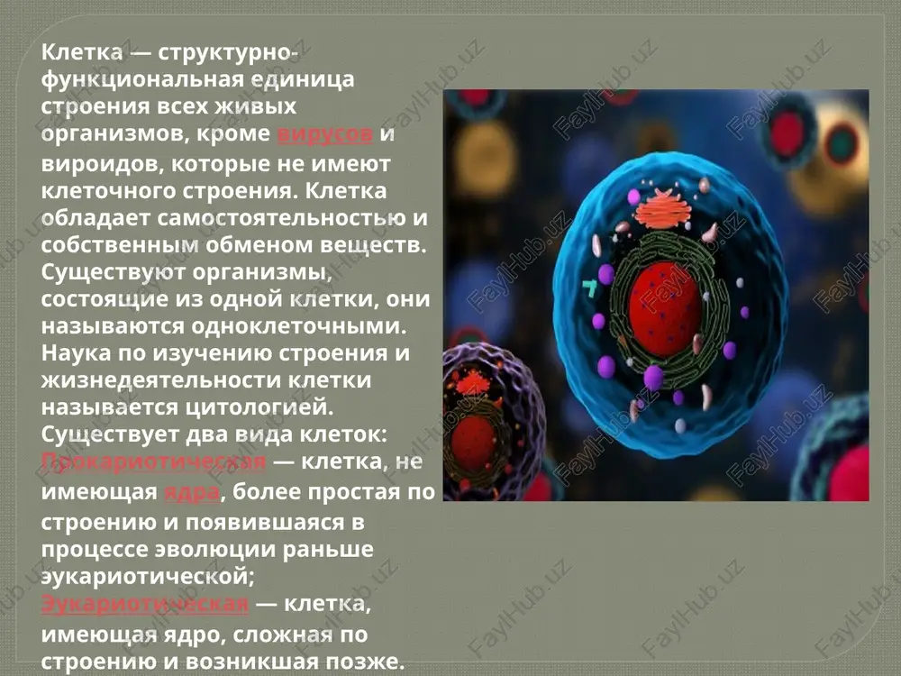 rez mikroskop. tak on obnarujil malenkie yacheyki, kotorie tak i nazval — cell (angl.) — kletka, yacheyka. v 1674 godu antoni van levenguk obnarujil v kaple vodi odnokletochnie organizmi. v 1839 godu uchenie shvann i shleyden sozdali kletochnuyu teoriyu. ntoni van lévenguk — niderlandskiy naturalist, konstruktor mikroskopov, osnovopolojnik nauchnoy mikroskopii, issledovavshiy s pomoshyu svoix mikroskopov strukturu razlichnix form jivoy materii. kletka — elementarnaya jivaya sistema, sostoyashaya iz trex osnovnix chastey — obolochki, yadernogo apparata i tsitoplazmi, obladayushaya sposobnostyu k obmenu energiey, materiey i informatsiey s okrujayushey sredoy; lejit v osnove jiznedeyatelnosti, stroeniya, razvitiya, razmnojeniya jivotnix i rastitelnix organizmov. mnogokletochnie organizmi sostoyat iz bolshogo chisla kletok, kotorie differentsirovani takim obrazom, chtobi vipolnyat raznie funktsii naibolee effektivnim obrazom. pri etom tolko nekotorie kletki uchastvuyut v peredache geneticheskoy informatsii v ryadu pokoleniy, ostalnie je (i ix bolshinstvo) tolko obespechivayut jiznedeyatelnost organizma. sushestvuet dva tipa kletok — prokarioticheskie i eukarioticheskie. genom prokariot obichno predstavlen …