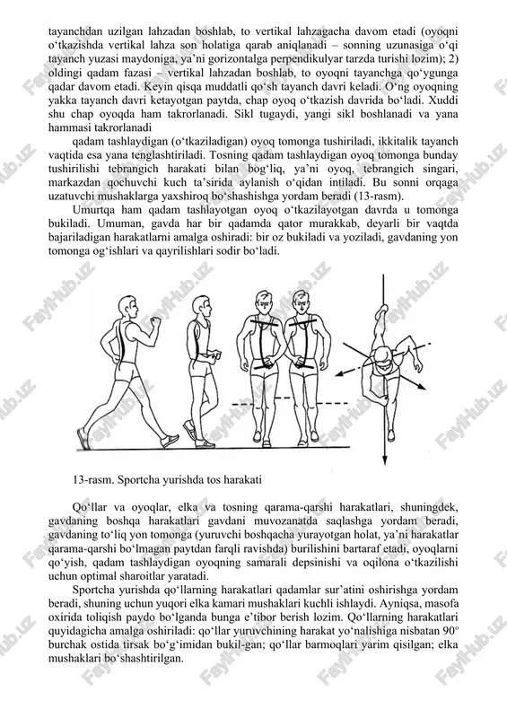 yanch davri boshqa oyoqni o‘tkazish davriga mos keladi. qo‘sh tayanch davri juda qisqa muddatli bo‘lib, ba’zan uni ko‘rib ham bo‘lmaydi. yakka tayanch davri uzoqroq davom etadi va ikkita fazaga bo‘linadi: 1) oldindan qattiq tayanish fazasi; 2) depsinish fazasi. oyoqni o‘tkazish davri ham ikkita fazaga ega: 1) orqa qadam fazasi; 2) oldingi qadam fazasi. bu fazalar ham chap oyoq uchun, ham o‘ng oyoq uchun o‘tkazish yoki tayanish davrida mavjud bo‘ladi. fazalar orasida shunday lahzalar bo‘ladiki, bunday bir zumlik lahzada harakatlarning o‘zgarishi sodir bo‘ladi. agar lahzalar harakatlarning bir yoki bir necha bo‘g‘inlarda o‘zgarish chegaralari hisoblansa, ushbu lahzalardagi holatlar – bu tana bo‘g‘inlarining otsmga yoki bir-biriga nisbatan holatlari ta’siridir, ya’ni holatlar harakatlarning almashishi manzarasini ko‘z orqali ko‘rishga imkon beradi. o‘ng oyoqning oldindan qattiq tayanish fazasi u tayanchga qo‘yilgan lahzadan boshlanadi. tizza bo‘g‘imidan to‘g‘rilangan oyoq tovondan qo‘yiladi. bu faza vertikal lahzagacha, uom tayanch nuqtasi ustida (o‘ng oyoq kafti ustida) turgan paytgacha davom etadi. vertikal …