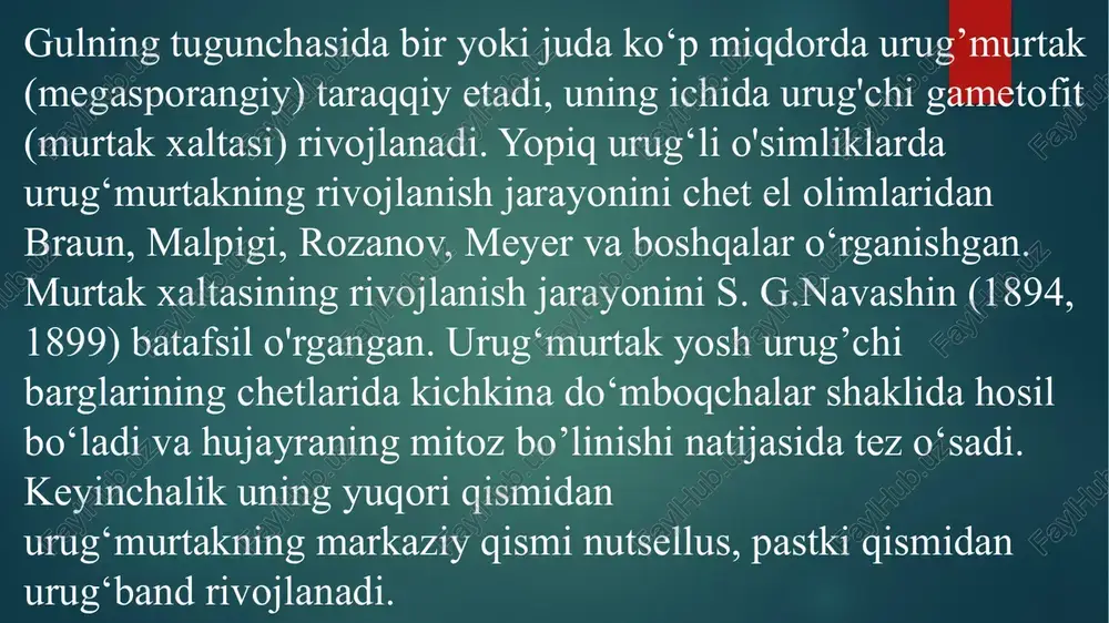 ning notekis o'sishi vaqtida uning uchi va uchidagi teshikcha (urug‘ yoyi) teskari (ostki) tomonga aylangan bo’ladi. bu xildagi urug‘murtak yopiqurug’li o‘simliklarda eng ko‘p uchraydi. 3. gemitrop yoki yarim qayrilgan urug‘murtak. nutsellus bilan intigument o‘sish davrida platsentaga nisbatan 90° qayrilgan sigirquyruqdoshlar, primuladoshlarda uchraydi. 4. kampilotrop yoki bir tomonlama qayrilgan urug‘murtak. bunday urug‘murtakda nutsellus bilan intigumentlaming bir tomoni bukilgan bo’lib, chang yoyi xalaza yoniga borib qoladi. bu xildagi urug‘murtak kapalakdoshlar, dukkakdoshlar, butguldoshlar va boshqa oilalarda uchraydi. 5.amfitrop yoki egma urug‘murtak. bunda nutsellus bukilib taqasimon shaklga kiradi kapalakdoshlarni ayrim vakillarida uchraydi. evolyutsiya jarayonida yopiqurug’li o‘simliklar nutsellusining qalin devorlari yupqalashib boradi. tojbarglari birlashmagan o‘simliklarda urug‘murtak krassinuselyat (lot. kraus. — qalin), tojbarglari birlashgan o'simliklarda esa tenuinuselyat (lot. tyeniuis — yupqa) rivojlangan. tenuinuselyat urug’murtakning ichki intigument hujayralaridan tapetum taraqqiy etadi. tapetum sitoplazmasi uglevodlar, oqsillar, vitarminlarga boy. bu moddalar amilaza, proteaza fermentlari yordamida parchalangandan so‘ng o’tkazuvchi to‘qima orqali murtakka o‘tib oziq bo’ladi. yopiqurug’li o'simliklar urug‘murtagining xalaza ustidagi …