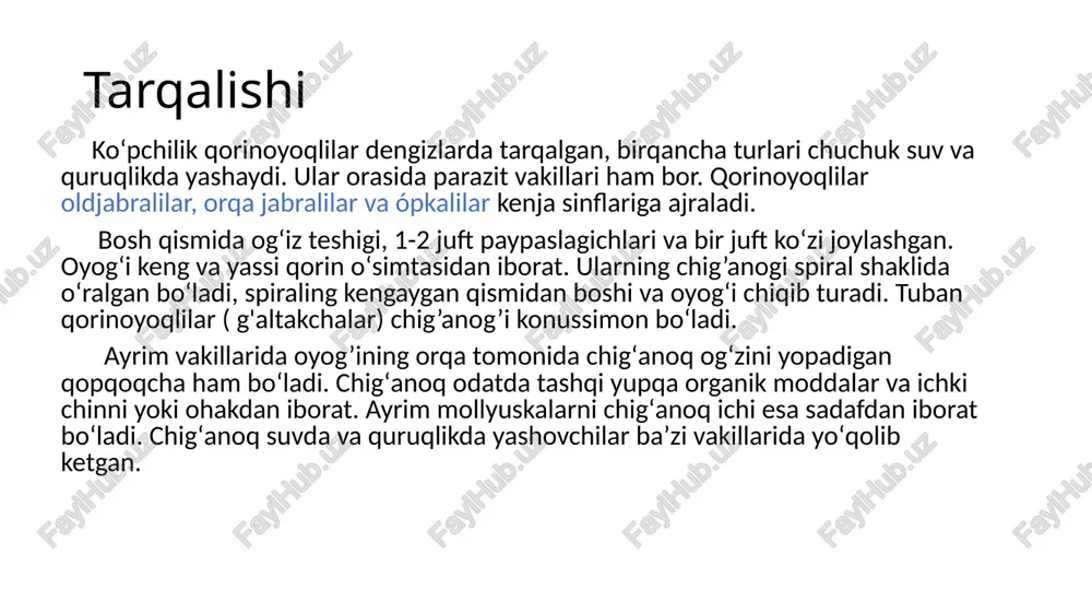 g kengaygan kiprikli uchi selomga, ikkinchi uchi mantiya boʻshligʻiga ochiladi. jabra yoki oʻpka orqali nafas oladi. jabrasi tanani ikki yonida joylashgan, patsimon ktenidiy tipida tuzilgan. jinsiy sistemasi oldjabralilar— ayrim jinsli. oʻpkalilar va orqa jabralilar— germofrodit. jinsiy bezlari bitta tuxumdon yoki urug’dondan germofrodit vakillarida germofrodit bezden iborat. bu bez urugʻ va tuxum hujayralar hosil qiladi. erkak molyuskaning urugʻ yoʻli boʻladi. urgʻochi molyuskaning tuxum yoʻli kengayib barchadan va urugʻ qabul qilgichni hosil qiladi. mollyuskalar har doim chetdan urug’lanadi. qiziqarli maʼlumot ushbu suratda ko’rib turganingiz dengiz qorinoyoqli molluskalariga mansub dengiz shilliqqurti ( elysia chlorotica ) bo’lib, uning hazm qilish organlari dengiz suvo’ti vaucheria litorea ning xloroplastlarini o’zlashtirish xususiyatiga ega. shilliqqurt genomi xloroplast odatdagidek fotosintez qilishi uchun maxsus oqsillarni sintezlaydi. ushbu oqsillar esa xloroplastning fotosintezni amalga oshirishini ta’minlaydi. hosil bo’lgan glukoza hisobiga shilliqqurt hayot kechiradi yangi tur. xalqaro tadqiqotchilar jamoasi barneo orolining tropik kengliklarda joylashgan o’rmonlaridan qorinoyoqli molluskalar sinfiga mansub yangi molluska turini kashf …