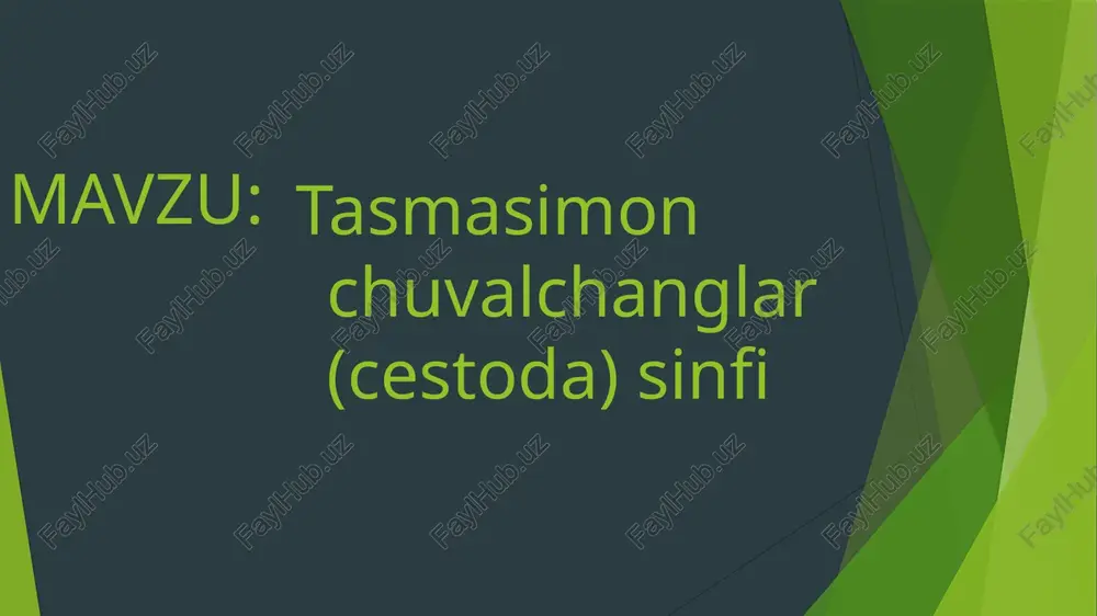 ga boiinmagan tasmasimonlar jinsiy sistemasi tasmasimon chuvalchanglar voyaga yetgan davrida umurtqali itiiyvonlar va odam ichagida parazitlik qiladi. ulaming lichinkasi iuirtqasiz va umurtqali hayvonlar tana bo‘shlig‘i va ichki organlarida parazitlik qiladi . qoramol tasmasimoni-taeniarhynchus saginatus tanasining bo'yindan keyin joylashgan yosh bo'g'imlarida jinsiy organlar rivojlanmagan.bunday organlar tanasi o'rt qismida, taxminan 200 ncgmentdan boshlab rivojlanadi. erkaklik jinsiy organlari parenximada nochilgan juda ko'p urug'donlar, ulardan boshjanadigan urug' chiqarish nnylari va naychalar hosil qiladigan umumiy urug' yo'lidan iborat. urug' yoii bo'g'im chetida joylashgan qo'shilish organi ichidan o'tadi. (jo'shilish organi muskulli naydan iborat bo'lib, yon tomondagi cliuqurcha- jinsiy kloakaga kirib turadi urg'ochilik jinsiy organlari shoxlangan bitta tuxumdon va undan uhiqadigan tuxum yo'lidan iborat. tuxum yo’li va bo‘g ‘imning keyingi qismida joylashgan to'rga o'xshash sariqdon yo'li ootipga ochiladi. boshlanadigan ikkita naydan biri yon tomonga yo'nalib, jinsiy i|in - kloakaga ochiladi. ootipdan boshlanadigan ancha keng uchi ber. qoraamol tasmasimoni jinsiy sistemasining tuzilishi. ndalang ayirish nayi.ikkinchi nay oldinga yo‘nalgan …