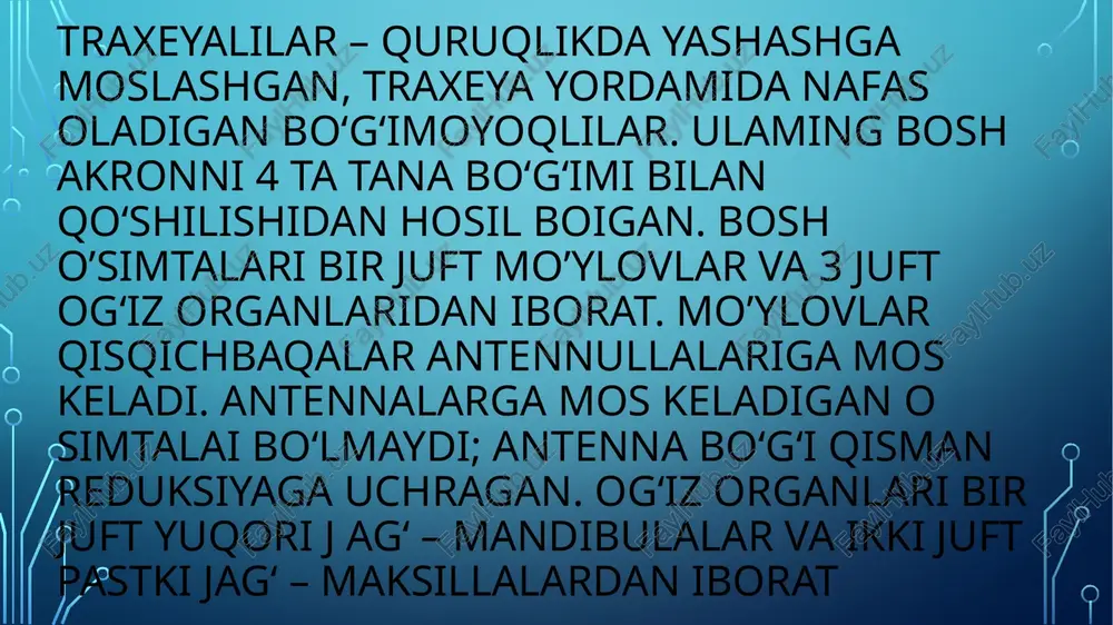 o‘g’imi ilmoqqa o’xshash egilgan. bu oyoqlaming asosida zahar bezi joylashgan. bez ilmoqning uchiga ochiladi. laboyoqlar deb ataladigan jag’oyoqlar yordamida hayvonlar o’z o’ljasini tutadi va oldiradi. laboyoqlilarning zahari bo‘g‘imoyoqlilar va umurtqalilar uchun xavfli. qiloyoq barmoqni chaqib olganida qol shishib, ogriy boshlaydi. ichki tuzilishi hazm qilish sistemasi to’g’ri nay shaklida, hamma bo‘g‘imoyoqlilarga o’xshash bolimlardan iborat ( 139-rasm). og’iz teshigi boshining pastki tomonida jaglarining o‘rtasida joylashgan. kivsyaklarning uch juft solak bezlarining har qaysisi alohida yol bilan og’iz bo’shlig’iga yoki og‘iz teshigi yoniga ochiladi. ko’poyoqlilar jag’lari yoniga ochiladigan 2 juft bezlarini hasharotlarning ipak bezlariga tenglashtirish mumkin. o’rta ichak ancha uzun. oziq o’rta ichakda hazm boladi. orqa ichak esa juda kalta boladi. ko’pchilik ko’poyoqlilar yirtqich hayot kechiradi. ular orasida otxorlari kam uchraydi. ayirish sistemasi tana bo‘shlig‘ida joylashgan ikki juft uzun malpigi naychalaridan iborat. naychalaming tana bo’shlig’ida joylashgan uchi berk, ikkinchi uchi esa o’rta va orqa ichak chegarasida ichak bo’shlig’iga ochiladi. asosiy modda almashinuv mahsuloti siydik …