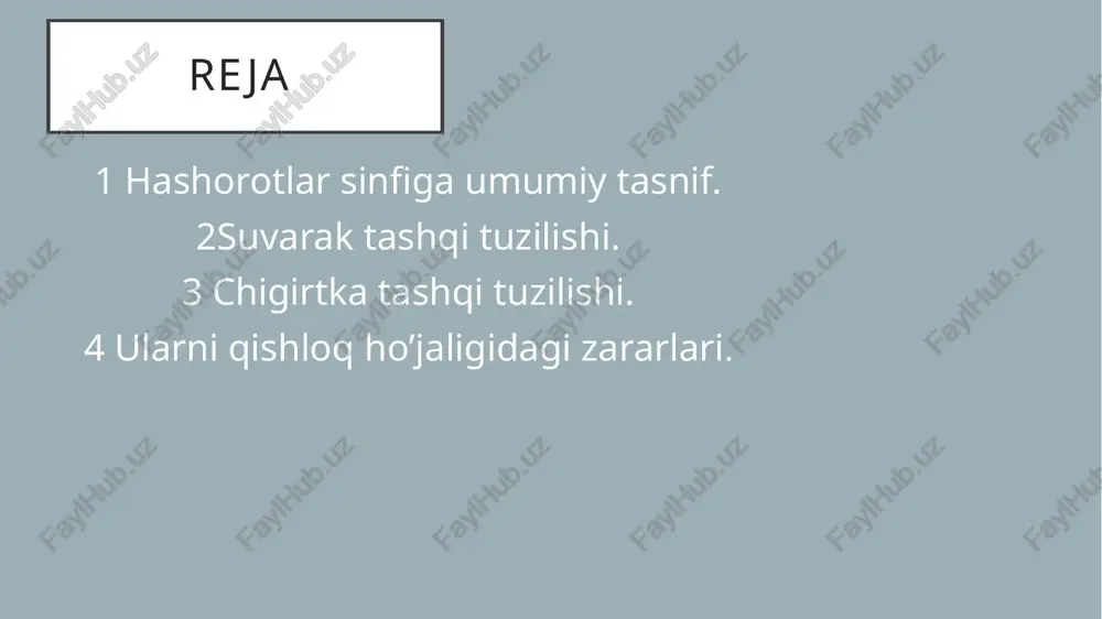 panjalardan tuzilgan; qanotli h.ning oʻrta va orqa koʻkraklarida bir juftdan qanotlar bor. urgʻochisi qornining uchida 11 boʻgʻimdan iborat tuxum qoʻygich, erkaklarida esa bir juft oʻsimtalar mavjud. ovqat hazm qilish yoʻli ozuqani mexanik hamda kimyoviy qayta ishlaydigan ichaklardan tashkil topgan. h.ning individual rivojlanishi bir necha bosqichli (fazali) toʻliq yoki chala oʻzgarish (metamorfoz) bilan kechadi. chala oʻzgarish bilan rivojlanish 3 faza (bosqich)da: tuxum, lichinka (imagoga oʻxshash) va voyaga yetgan hasharot — imago orqali amalga oshadi. toʻliq oʻzgarish bilan rivojlanishda esa lichinka (odatda chuvalchangsimon) bilan imago oraligʻida /umbaklik davri ham kuzatiladi. h.ning hayot sikli boʻgʻin (avlod)lar soni, mavsumiy dinamika (oʻzgarish)ning oʻziga xosligi va diapauza xususiyatlari bilan belgilanadi. tabiatda h. turli-tuman va katta ahamiyatga ega. ular butun quruqlikni egallagan; ayniqsa sernam subtropik yerlarda koʻp tarqalgan. koʻpchiligi yerda, qator turlari suvda yashaydi, baʼzilarining hayoti tuproq bilan bogʻliq. h. xilma-xil mahsulotlar bilan oziqlanib, tabiatda moddalar alma-shinuvida ishtirok etadi h.ning juda koʻp turlari oʻsimliklar zarar-kunandalari; hayvonlar va …