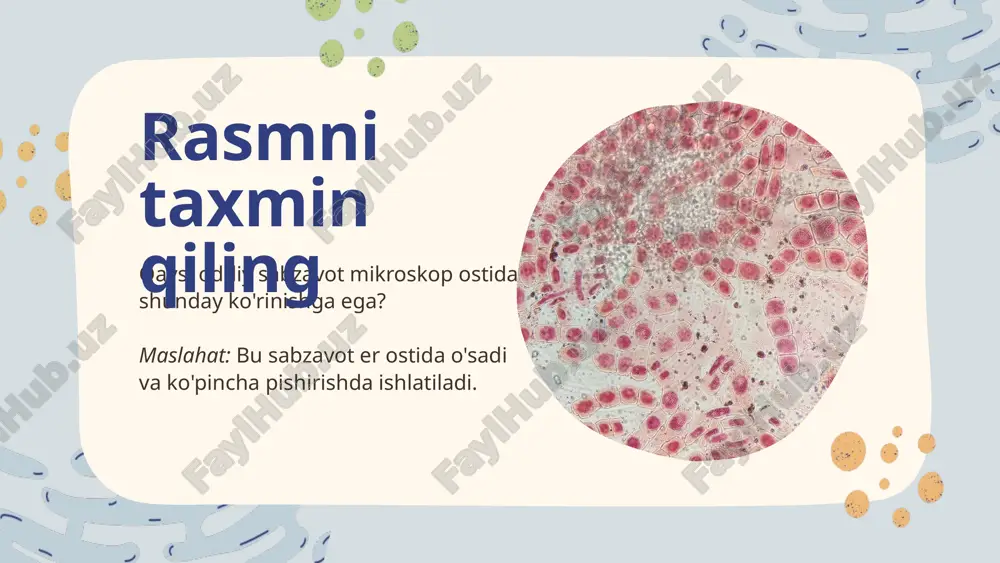 hga harakat qiling yorug'lik mikroskopining. aylanadigan burun bosqich oyna / yorug'lik manbai nozik sozlash g'ildiragi ob'ektiv linzalar diafragma ko'zoynak qo'pol sozlash g'ildiragi ning qismlari yorug'lik mikroskopi mikroskopdan yaxshi foydalanish uchun uning asosiy qismlarini yaxshi bilish kerak. javob kaliti mikroskopdan qanday foydalanish kerak agar siz ilgari hech qachon yorug'lik mikroskopidan foydalanmagan bo'lsangiz, ushbu foydali qo'llanma buni qanday qilishni tushuntirib beradi! yorug'lik mikroskopini yoqing, yorug'likni okulyar tomon yuqoriga aks ettirish uchun oynani harakatlantiring va diafragma keng ochilganligini tekshiring. 1-qadam: aylanadigan burun qismini aylantiring shuning uchun eng past ob'ektiv linzalar to'g'ridan-to'g'ri pastga qaratilgan. 2-qadam: mikroskopdan qanday foydalanish kerak agar siz ilgari hech qachon yorug'lik mikroskopidan foydalanmagan bo'lsangiz, ushbu foydali qo'llanma buni qanday qilishni tushuntirib beradi! namunangizni joylashtiring sahnaga. 3-qadam: ko'zoynakga qarang va namunangizni diqqat markaziga keltirish uchun qo'pol sozlash g'ildiragini sekin aylantiring. 4-qadam: mikroskopdan qanday foydalanish kerak agar siz ilgari hech qachon yorug'lik mikroskopidan foydalanmagan bo'lsangiz, ushbu foydali qo'llanma buni qanday qilishni tushuntirib …