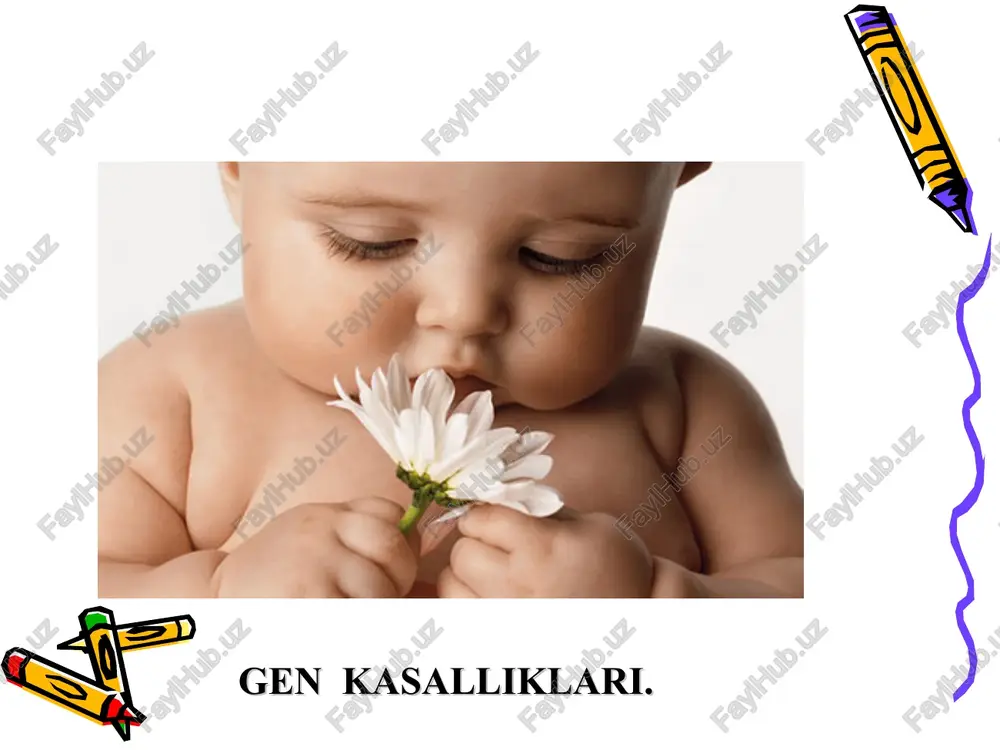 m bo`lgani uchun bunday kasallarnining terisi sarg`ish oq bo`ladi.kasallarda aqliy zaiflik ularning bir yoshligidayoq seziladi va ayrimlarida o`zidan ketib qolish holatlari tutqanoq kuzatiladi. kasallik hech aniqlanib davolanmagan bo`lsa,kasalning ahvoli juda og`irlashadi bu kasallik autosomadagi retsessiv gen ta`sirida yuzaga chiqib,bolalar orasida 1:1000 nisbatda uchraydi.odatda aqliy zaif bolalarning 1-2%da fenilketonuriya kasalligi bo`ladi. bu kasallikni aniqlashda asosan biokimyoviy usuldan foydalaniladi. siydikka bir necha tomchi fecl3 eritmasidan tomizilganda yashil rang paydo bo`ladi.kasallikni davolashda parhez asosiy rol o`ynaydi,ya`ni kasal fenilalanin aminokislotasi ko`p bo`lagan oziq ovqatlarni istemol qilamasligi kerak.kasallikning oldini olishda siydiknining dastlabki biokimyoviy tahlili va genetik vrachning maslahati katta rol o`ynayadi. bu kasallikda fenilalanin va tirozinning keyiningi ko`rinishlarga o`tishi jarayoni buziladi.fenilalanin hisobiga va ovqat bilan organizmga tushgan tirozin normada p gidroksifenilpirovinograd kislotasiga aylanadi.bu kislota esa o`z navbatida gomogentizin oksidaza fermenti yordamida gomogentizin kislotasiga aylanadi. alkoptonuriya kasalligida esa,gomogentizinoksidaza fermentining sintezini belgilovchi gen mutatasiyaga uchragani uchun organizmda bu ferment juda kamayib ketadi.natijada, to`qimalarda va fiziologik suyuqliklarda gomogentizin …