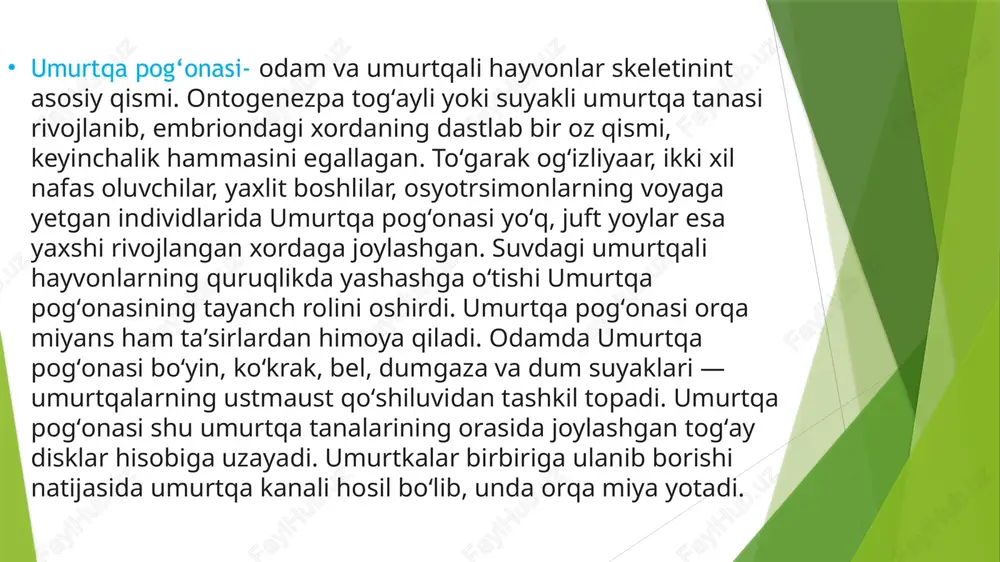 tugʻma anomaliyasi, orttirilgan kasalliklari, shikastlanishi va boshqa uchraydi. tugʻma nuqsonlardan koʻproq 2 yoki 3 umurtqaning oʻzaro birikib ketishi, ortiqcha umurtqalar borligi va hokazolar kuzatiladi. bu xil nuqsonli umurtqa pogʻonasida koʻpincha ogʻriq sezilmaydi. orttirilgan kasalliklarga asosan ostexondroz-umurtqa pog‘onasi deformatsiyalasi skoliz-umurtqa pog‘onasining qiyshayishi spondilit –yallig‘lanish kasalliklari umurtqa pogʻonasi boylamlarining uzilishi yoki choʻzilishi, umurtqalarning chiqib ketishi va boshqa kiradi. odamda umurtqa pogʻonasi boʻyin, koʻkrak, bel, dumgaza va dum suyaklari — umurtqalarning ustmaust qoʻshiluvidan tashkil topadi. umurtqa pogʻonasi shu umurtqa tanalarining orasida joylashgan togʻay disklar hisobiga uzayadi. umurtkalar birbiriga ulanib borishi natijasida umurtqa kanali hosil boʻlib, unda orqa miya yotadi. odam umurtqa pogʻonasi kishining tik yurishiga moslashgan boʻlib, pastga qarab kengayib boradi. umurtqa pogʻonasining boʻyin, bel, koʻkrak va dumgaza qismlarida fiziologik bukilmalar bor. boʻyin va bel qismidagi bukilmalar lordoz (fiziologik lordoz), koʻkrak va dumgʻaza qismidagi bukilmalar kifoz (fiziologik kifoz) deb ataladi. odamda umurtqa pogʻonasi boʻyin, koʻkrak, bel, dumgaza va dum suyaklari — umurtqalarning ustmaust …