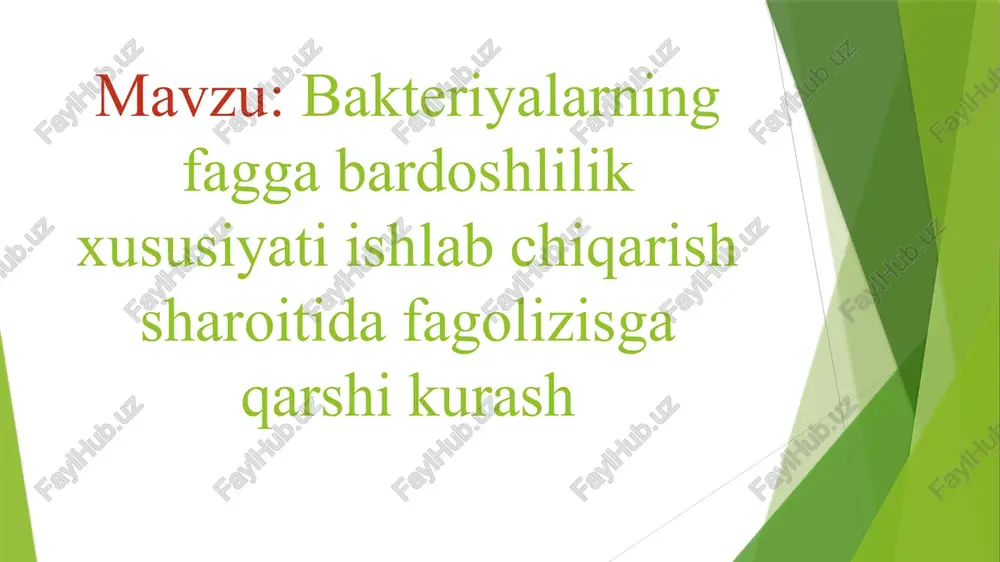 chun ifoda etilmaydi. buning oʻrniga u bakterial xromosomaning maʼlum bir qismi bilan rekombinatsiya qiladi. bu fag dnksining xromosoma tarkibiga kirishiga olib keladi. lizogen sikli: birikish. bakteriofag bakteriya hujayrasiga birikadi. 2. kirish. bakteriofag oʻz dnksini bakteriya hujayrasiga kiritadi. 3. integratsiya. fag dnksi bakteriya xromosomasiga rekombinatsiyalanadi va xromosomaga qoʻshilib, profagni hosil qiladi. 4. hujayra boʻlinishi. shunga o‘xshash fagolizis hodisasi entomosid bakteriya preparatlari ishlab chiqarish sanoatida ham kuzatildi. entomopatogen bakteriya preparatlari asosan bas.thuringiensis bakteriyasi asosida tayyorlanadi. bu bakteriyani laboratoriy sharoitida va sanoatda fermentyorlarda o‘stirilganda faglar ta’sirida lizisga uchraganligi kuzatilgan, zavodda maxsulot ishlab chiqarishning imkoni bo‘lmay qolgan. bakteriyalar faoliyatidan foydalanib ferment olishda, vitamin, aseton, butil spirti va boshqa maxsulolar olishda fagolizis hodisasi aniqlangan. fagolizis atrof-muhitning genetik ifloslanishiga sababchi bo‘lishi mumkin. lizogeniya hodisasi mikroorganizmlarni hamma sistematik guruhida keng tarqalgan. lizogeniya hodisasining bakteriyalar orasida juda keng tarqalganligi tufayli biz to‘liq asos bilan ayta olamizki, bu hodisa mikroorganizmlar evolyusiysining hozirgi bosqichida tasodifiy bo‘lmasdan balki, tabiiydir. shuning uchun …
