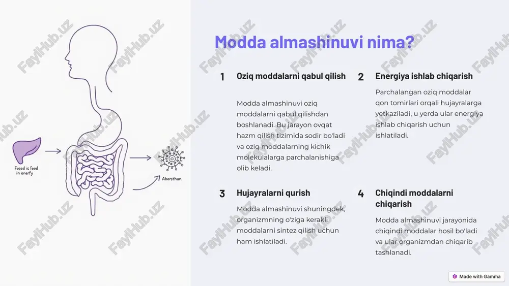 artibga soluvchi asosiy omillar hisoblanadi. nerv tizimi nerv tizimi modda almashinuvini boshqarishda ishtirok etadi. fermentlar fermentlar modda almashinuvi jarayonini tezlashtiradi. vitaminlar vitaminlar modda almashinuvi jarayonlarida muhim rol o'ynaydi. 6 yosh va gender omillari 1 yosh yosh o'tishi bilan modda almashinuvi sekinlashadi. 2 gender ayollarda erkaklarga qaraganda modda almashinuvi tezroq bo'ladi. 3 genetika genetik omillar modda almashinuviga ta'sir qiladi. 7 kasalliklar va modda almashinuvi kasallik ta'siri qandli diabet uglevod almashinuvi buzilishi qalqonsimon bez kasalligi modda almashinuvining tezlashishi yoki sekinlashishi semirish energiya almashinuvi buzilishi 8 modda almashinuvini yaxshilash usullari 1 to'g'ri ovqatlanish meva, sabzavot, oqsilga boy ovqatlarni iste'mol qilish kerak. 2 jismoniy faoliyat muntazam ravishda sport bilan shug'ullanish modda almashinuvini yaxshilaydi. 3 yetarli uyqu yetarli uyqu modda almashinuvini tartibga soladi. 4 stressni boshqarish stress modda almashinuviga salbiy ta'sir qiladi. 9 xulosa va tavsiyalar modda almashinuvi sog'liqni saqlashning muhim omilidir. to'g'ri ovqatlanish, jismoniy faoliyat va stressni boshqarish modda almashinuvini yaxshilashga yordam beradi. 10 …