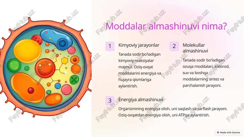 sil parchalanishi, yog'larning parchalanishi, glikogen parchalanishi energiya talab etiladi energiya chiqariladi 5 moddalar almashinuvining turli xil shakllari uglevod almashinuvi uglevodlarning parchalanishi va energiya chiqarishi. shakar, kraxmal, tolalar. yog' almashinuvi yog'larning sintez va parchalanishi. energiya saqlash, hujayra qismlarini qurish, gormonlar ishlab chiqarish. oqsil almashinuvi oqsillarni sintez qilish va parchalanishi. hujayra qismlarini qurish, fermentlar, gormonlar ishlab chiqarish. suv-tuz almashinuvi suv va mineral moddalarning almashinuvi. hujayralarning normal ishlashi, terlash, siydik chiqarish. 6 moddalar almashinuvini boshqarish mexanizmlari 1 gormonlar insulin, glyukagon, adrenalin, kortizol, tiroksin kabi gormonlar moddalar almashinuvini tartibga soladi. 2 nerv tizimi nerv impulslarining yordamida moddalar almashinuvini tartibga soladi, masalan, ochlik va to'qlik hissi. 3 hujayra ichidagi signalizatsiya hujayralar ichidagi signalizatsiya tizimlari metabolik jarayonlarni tartibga soladi. 7 moddalar almashinuvini buzilishi va uning oqibatlari diabet qandli diabet, qandli diabet, uglevodlar almashinuvining buzilishi tufayli yuzaga keladi. semirish energiya iste'moli energiya sarfini oshirib, yog' to'qimalarining ortiqcha to'planishi. yurak-qon tomir kasalliklari yog'lar almashinuvining buzilishi, xolesterin miqdorining ko'payishi, …