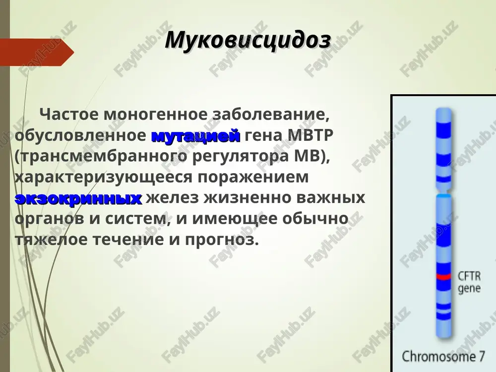 ichini vyazkosti mokroti pri mukovistsidoze: narushenie elektrolitnogo obmena, chto vedet k degidratatsii sekreta dnk degenerirovannix neytrofilov, kotorie privlekayutsya v bolshom kolichestve v dixatelnie puti formi mukovistsidoza osnovnie: smeshannaya s porajeniem jkt i bronxolegochnoy sistemi (75-80%); preimushestvenno legochnaya (15-20%); preimushestvenno kishechnaya (5%). stadiynost izmeneniy v legkix pri mukovistsidoze stadiya xarakter protsessa dlitelnost techeniya 1-ya stadiya retsidiviruyushiy bronxit 10 let 2-ya stadiya xronicheskiy bronxit 1-15 let 3-ya stadiya diffuzniy skleroz, bronxoektazi, kisti, virajennaya dn, serdechnaya nedostatochnost 3-5 let 4-ya stadiya tyajelaya serdechno-dixatelnaya nedostatochnost letalniy isxod v techenie neskolkix mesyatsev rentgenologicheskaya kartina sindrom porajeniya interstitsialnoy tkani legkix – usilenie, tyajistost, yacheistost legochnogo risunka za schet razrastaniya soedinitelnoy tkani. peribronxialnie i perivaskulyarrnie izmeneniya, rasshirenie teni korney legkix. sindrom narusheniya bronxialnoy proxodimosti povishenie prozrachnosti legochnoy tkani, nizkoe stoyanie diafragmi, uvelichenie peredne-zadnego razmera grudnoy kletki, dolkovie i segmentarnie atelektazi. sindrom zapolneniya alveol – infiltratsiya, alveolyarniy otek. sindrom “sotovogo legkogo” – krupnoyacheistaya deformatsiya legochnogo risunka s obrazovaniem …