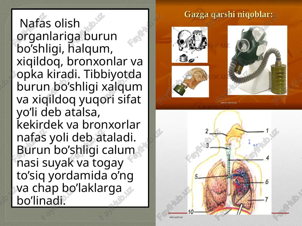 kasabauyushmasi bo’limigaga yuklatiladi. maxsus korjoma ishchilarni tashqi muxiddan salbiy ta’siridan saqdash uchun muljallanadi. bunda kishi tanasiga xavo almashish funktsiyasi buzilmasligi kerak. u shunday bo’laladiki, unda odam o’zini qulay xis qilishi va ish sharoitida xavfsiz bo’lishi kerak; u kishining erkin xarakatiga to’sqinlik qilmasligi va aylanib turuv- chi kismlarga o’ralib ketishi mumkin bo’lgan osilib yoki chiqib turuvchi qismlari bo’lmasligi kerak. maxsus korjo raem. ko’zni ximoyalovchi vositalar . ichki gardishi kapronli s-2; 2 - yon tomonidan ochiq ximoyalagichi s-3; 3 - turli oyna bilan s-15; 4 - turli oynasiz s-10; tangachasimon s-12; 6 - yopik turdagi s-33; 7 - xaydovchilar uchun s-5; 8 - yozgi s- 1; 9 – ko’zni ximoyalovchi niqob. yengil tozalanadigan va badanni qichitmaydigan materiallardan tikiladi. xarakatlanib turuvchi mexanizmlar yaqinida turib ishchilarga (operatorlar, moylovchilar, ta’mirchi chilangar va sh.u.) paxta ipidan tikilgan, belbogsiz, ichki kombinezonlar beriladi. nafas olish organlarini muxofazalovchi shahsiy ximoya vositalari – gazniqoblar, nafas olish organlarini turli kasalliklarni keltirib …