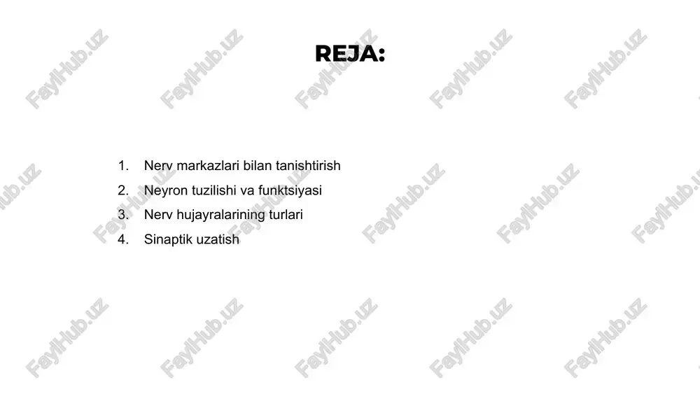siyasi jihatidan farq qiladi, muhimlari miya, orqa miya va periferik asab tizimida joylashgan. 01 02 03 nerv hujayralarining har xil turlari mavjud, ular orasida tashqi muhitdan ma'lumot to'playdigan sezgir neyronlar, harakatni boshqaradigan motor neyronlari va markaziy asab tizimidagi signallarni uzatuvchi interneyronlar mavjud. nerv hujayralarining xilma-xilligini tushunish ma'lumotlarning butun tanada qanday uzatilishini tushunish uchun juda muhimdir. har bir hujayra turi gomeostazni saqlashda va stimullarga javoblarni muvofiqlashtirishda o'ziga xos rol o'ynaydi. sinaptik uzatish venus is the second planet from the sun mercury is the closest planet to the sun jupiter is the biggest planet of them all 1 2 3 markaziy asab tizimi markaziy asab tizimi miya va orqa miyadan iborat bo'lib, tanadagi asosiy nerv markazlari vazifasini bajaradi. u tana bo'ylab impulslarni uzatishda, turli funktsiyalar va javoblarni boshqarishda hal qiluvchi rol o'ynaydi. nerv impulslari markaziy asab tizimidagi neyronlar bo'ylab tarqalib, tananing turli qismlari o'rtasida aloqa o'rnatish va javoblarni muvofiqlashtirish imkonini beradi. periferik …