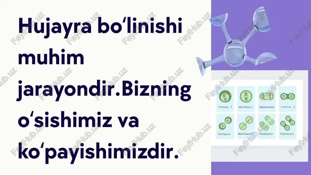 yoʻqoladi.sentriola qutblar tomon harakatlanadi. meyoz2 anafaza 2 xromatidlar xromosomalarga ajralgan holatda qutblarga tarqaladi. telefaza 2 sitokinez va koreginez sodir boʻladi 4ta hujayra hosil boʻladi . xromosomalar soni kamayadi. koreginez-yadrolar hosil boʻlishi sitokinez-sitoplazma 2ga boʻlinishi. meyozda biz uchun muhim boʻlgan hodisa bu krossingover hodisasi yaʼni genlar almashinuvi sodir boʻladi. thank you... kokand unversity image1.png image2.svg image3.jpeg image4.png image5.jpeg image6.png image7.png image8.jpeg image9.jpeg image10.jpeg image11.jpeg image12.png image13.jpeg image14.jpeg image15.png /docprops/thumbnail.jpeg