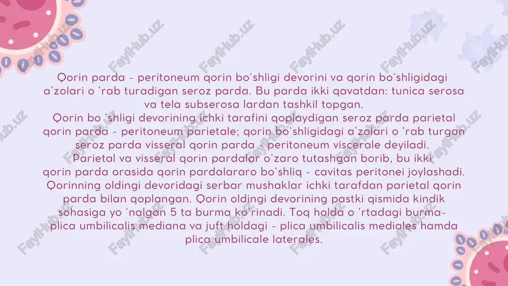 charvi - omentum majus tarkibi quyidagi boylam lardan hosil boradi: a) lig. gastrophrenicum - diafragma bilan oshqozon orasidagi boylam; b) lig. gastrosplenicum - oshqozon bilan taloq orasidagi boylam; d) lig. gastrocolicum - oshqozon bilan ko‘ndalang cham bar ichak orasidagi boylam; e) lig. phrenicosplenicuni - diafragma bilan taloq orasidagi boylam; 0 lig. splenorenale - taloq bilan chap buyrak orasidagi boylam; g) lig. pancreaticosplenicum - taloq bilan me’da osti bezi orasidagi boylam; h) lig. pancreaticocolicum - ko‘ndalang chambar ichak bilan m e’da osti bezi orasidagi boylam; i) lig. splenocolicum - taloq bilan ko‘ndalang chambar ichak orasidagi boylam; j) lig. phrenicocolicum - diafragma bilan ko‘ndalang chambar ichak orasidagi boylam. qorin bo‘shligini orqa devori sohasidagi parietal qorin parda ingichka ichak devorini o‘raydigan visseral qorin pardaga ingichka ichak tutqichlari mesenterium holida yo‘naladi. ingichka ichak tutqichining qorin orqa devoriga birikish ildizi radix mesenteri deyiladi. qorin orqa devoridagi qorin parda yo‘g‘on ichakning ko‘tariluvchi va tushuvchi qismlarini uch …