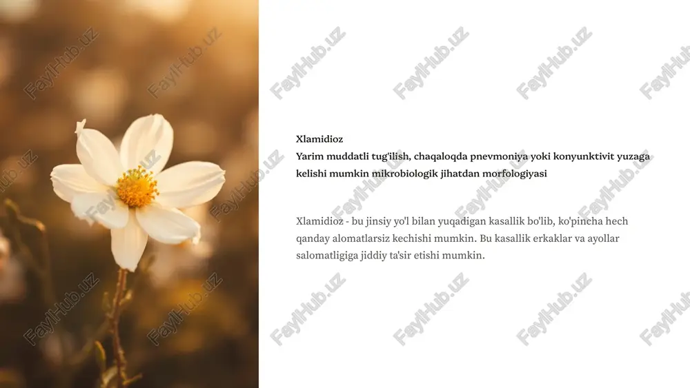 ladi. 6 xlamidiozni qanday davolash kerak? 1 antibiotiklar xlamidioz antibiotiklar bilan davolanadi. eng keng tarqalgan antibiotiklar - azitromitsin va doksitsiklin. davolanish kursi odatda 1 hafta davom etadi. 2 davolash jarayoni davolash jarayoni boshlaganingizdan keyin jinsiy aloqada bo'lishdan saqlaning. yaxshisi jinsiy sheriklaringiz ham tekshiruvdan o'tsin va agar kerak bo'lsa davolansin. 3 qayta tekshiruv davolanish tugaganidan keyin 3 oy o'tgach qayta tekshiruvdan o'tish tavsiya etiladi. bu xlamidiya infeksiyasining to'liq tuzalganligini tasdiqlaydi. 7 xlamidioz infeksiyasidan qanday himoyalanish mumkin? prezervativdan foydalanish jinsiy aloqa paytida prezervativdan foydalanish xlamidioz va boshqa jinsiy yo'l bilan yuqadigan kasalliklar xavfini kamaytiradi. juda ko'p jinsiy sheriklar bo'lmaslik jinsiy sheriklar sonini cheklash infektsiya xavfini kamaytiradi. tekshiruvdan muntazam o'tish har yili tekshiruvdan o'tish xlamidioz va boshqa jinsiy yo'l bilan yuqadigan kasalliklar xavfini kamaytiradi. 8 xlamidiozning oqibatlari 1 bevosit oqibatlar og'riq, qichishish, g'ayritabiiy oqindi. 2 jiddiy oqibatlar tuxumdon yallig'lanishi, homiladorlikdan tashqari homiladorlik, bepushtlik. 3 uzoq muddatli oqibatlar bachadon tashqi homiladorlik xavfi, tug'ilish kanalining …
