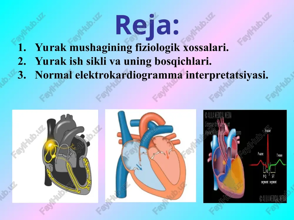 istolasi. v – umumiy pauza – bo`lmacha va qorinchalar diastolasining vaqt bo`yicha mos kelishi. 0,1s a 0,7s b v 0,4 0,1s 0,3 s 0,5s yurak siklining fazalari davomiyligi 0,8” (1 min. 75 ta qisqarish) qorinchalar sistolasining fazalari: taranglasnish fazasi 0,08 sek. qonning qorinchalardan haydalish fazasi 0,25 sek. asinxron qisq fazasi 0,05 sek. izometrik qisqarish fazasi. 0,03 sek. tez haydalish fazasi 0,12 s sek. sekin haydalish fazasi0,13s qorinchalar diastolasi. protodiastolik davri 0,04 sek izometrik bo`shashish davri. 0,08 sek. qorinchalarning qon bilan to`lish fazasi 0,25 sek. bo`lmachalar sistolasi natijasida qorinchalarning qo`shimcha qonga to`lish fazasi, presistola 0,1 sek. tez to`lish fazasi 0,09 sek. sekin to`lish fazasi 0,16 sek. heart have four valves. all four heart valves lie along the same plane elektrokardiogramma qo`zg`alishning tarqalishi ekg rr e`tiboringiz uchun rahmat