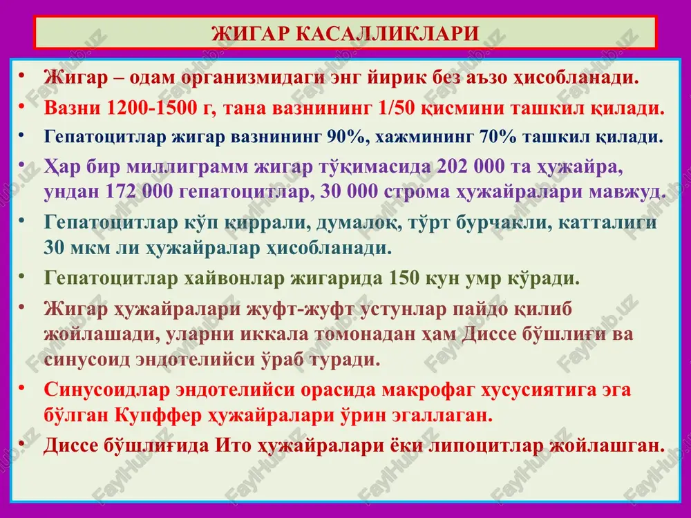 krotik va biliar. o'smalari: gepatotsellyulyar rak, xolangiotsellyulyar rak, aralash hujayrali rak. jigar kasalliklari virusli gepatit, bu - gepatotrop viruslarning tsitotoksik va autoimmunlash ta'siri natijasidagi jigarning yallig'lanishli kasalligidir. etiologiyasi: a, v, s, d, e, f, g gepatotrop viruslar. a virusli gepatit doimo o'tkir kechadi, fekal-oral yo'l bilan yuqadi, virus bevosita tsitotoksik ta'sir ko'rsatib, jigar hujayralarini nekrozlaydi. e virus ham fekal-oral yo'l bilan yuqib o'tkir virusli gepatit qo'zg'atadi. v va s virusli gepatitlar o'tkir hamda surunkali kechadi, parenteral yo'l bilan, hamda yo'ldosh orqali onadan bolaga o'tadi. virus bilan kasallangan gepatotsitlar immun reaktsiyalar orqali yo'q qilinadi. d virus faqat v virus bilan kasallanganlarga yuqadi. f, g viruslar, v va s borligida yuqadi va gigant hujayralar paydo qiladi. jigar kasalliklari shiddatli nekrotik gepatit a va e viruslar qo'zg'atgan massiv nekroz va qon quyilish o'choqlari. vakuolyar distrofiya kaunsilmen oqsili portal yo'llaridagi limfoid infiltratsiya limfotsitlar va makrofaglardan iborat. o'tkir virusli gepatit 1 1 2 3 4 …