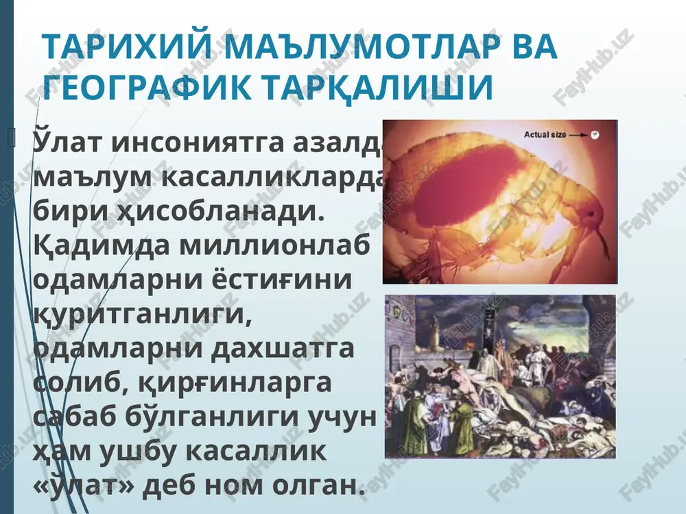 dengizga yaqin bo'lgan 87 port shaharlarida ro'yxatga olinib, 12 mln.dan ortiq kishi halok bo'lgan. o'latning bo'lib o'tgan pandemiyalarida 200 mln.ga yaqin kishi vafot etgan. tarixiy ma'lumotlar va geografik tarqalishi (davomi) d.k.zabolotniy o'lat tabiiy o'choqli kasallik ekanligi to'g'risidagi gipotezani ilgari surgan bo'lsa, uchinchi pandemiya davrida, aniqrog'i, 1897 yilda frantsuz olimi aleksandr yersin va uning yaponiyalik hamkasbi shibasaburo kitazatolar bemor odam va kalamushdan o'lat kasalligining qo'zg'atuvchisini aniqlagan. tarixiy ma'lumotlar va geografik tarqalishi (davomi) ogata va simonlar 1898 yilda o'lat kasalligi tarqalishida burgalarning roli borligini e'tirof etishgan. d.k.zabolotniy va l.m.isaevlar 1911 yilda cho'ldan tutib olib kelingan kemiruvchi (sug'ur) dan, i.a.deminskiy 1912 yilda yumronqoziqdan o'lat qo'zg'atuvchisini ajratib olgan. bokot va martinlar o'lat qo'zg'atuvchisi yuqqan burgadan «o'lat bloki» fenomenini aniqlashga muvaffaq bo'lgan. tarixiy ma'lumotlar va geografik tarqalishi (davomi) oxirgi yillarda dunyoda o'lat kasalligining epidemiyasi kuzatilmayapti,bugungi kunda bu kasallik faqat sporadik (tarqoq) holatda cho'l va tog' tabiiy o'choq hududlarida ro'yxatga olinmoqda. respublikamizda o'lat kasalligining oxirgi holatlari …