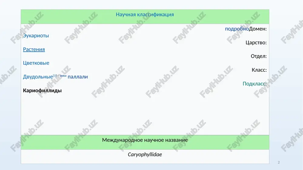 qarama–qarshi, ba’zan halqa holida joylashgan, aksariyat yonbargsiz. formula tsvetka: ♂ca5co5a5+5g(5), ili ♂ca(5)so5a5g(2-5). 6 there have been difficulties with the circumscription of some families in caryophyllales, and several relationships within the order are still unclear. the apg iv system of classification includes many very small families under caryophyllales. it comprises 37 families, 722 genera, and some 12,000 species. 7 the estimated 12,500 species in the caryophyllales[1] are distributed on all the continents. kaktusdoshlar oilasi 8 scientific classification kingdom: plantae clade: tracheophytes clade: angiosperms class: eudicots –ikki pallali - dvudolnie order: caryophyllales family: cactaceae juss.[1] subfamilies cactoideae maihuenioideae opuntioideae pereskioideae cactaceae floral formula ca many co many a many g (4) – inferior-tugunchasi ostki gullarining rangi oq, sariq, qizil, och qizil, erkin yoki asosidan tutashib naycha hosil qiladi. changchilari ko‘p, erkin, gullojibarglarga birikkan, ustunchasi bitta, 3 ta va undan ko‘p mevabargli, tugunchasi ostki, entomofil, ba’zan ornitofil o‘simliklar. kaktusdoshlar oilasi bir qator belgilariga …