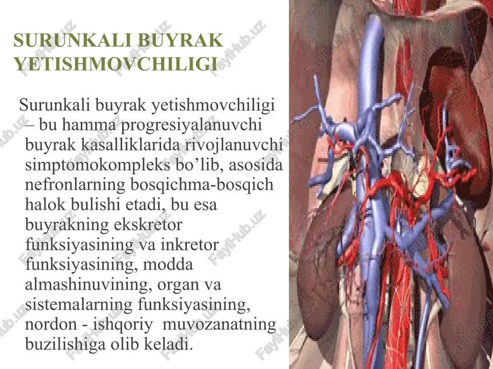 b, glomerulonefrit, pielonefrit va boshqa sababli interstsial nefritlar hisoblanadi. sbye ning rivojlanishida qaysi etiologiyadan qatiy nazar morfologik o'zgarishlar bir hil bo'lib, glomeruloskleroz, interstsial fibroz, saqlangan nefronlarning gipertrofiyasi bilan kechadi. koptokchalar ichidagi gemodinamik o'zgarishlar gipertenziyada namoyon bo'lib, u koptokchalar arteriolalari tonusining pasayishi va rezervdagi buyraklar funksiyasining yo'qolishi tufayli ro'y beradi. patogenezi: sbye ning patogenezini 2 ta jarayon tashkil qiladi: 1. buyraklar parenhimasining sekinlik bilan sklerozga uchrashi va harakat qilayotgan nefronlar massasining kamayishi. 2. har bir nefrondagi koptokchalar filtrasiyasining kamayishi. bu o'z navbatida bazi bir biologik aktiv moddalarning to'planishiga, bazilarining esa etishmovchiligiga sabab bo'ladi. azot almashinuvining hosilalari, o'rta molekulyar og'irlikka (300-250 dalton) moddalar to'planib qoladi, juda kam miqdorda bo'ladi. patogenezi bu molekulyar moddalar tarkibi paratgarmon, natriy uretik omil va boshqa turli hil ingibitorlar (dnk, gemoglobin, fagositoz sintezlari) ham kiradi. ular bilan uremik intoksikasiya bog'liqligi o'rganilgan. organizmda toksik moddalar ko'paygan holatda bir hil moddalarning sintezi pasayadi, eritropoetinning sintezi pasayganligi sababli anemiya rivojlanadi, vitamin …