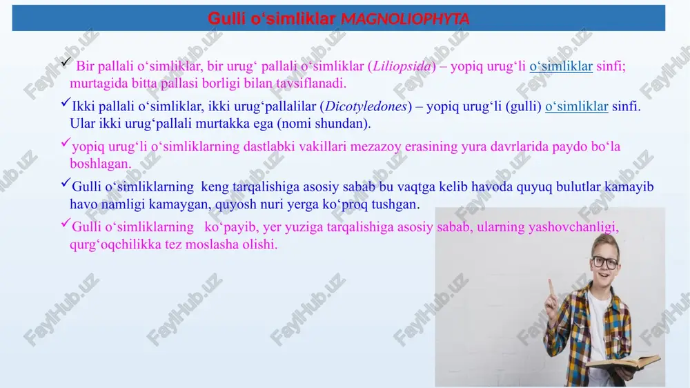 hilar paydo bo'lgan».buni bo'r davrida bennettitlar va urug'li paporotniklarning yo'qolib ketgani va gulli o'simliklarning paydo bo'lganligi tug'risidagi ma'lumotlar tasdiqlaydi. gulli o'simliklar tizimi a. engler (1887) tizimi o'z moxiyati jixatidan filogenetik tizim hisoblanib, u shu kungacha o'z qadrini yo'qotmagan. chunki ko'p «flora» larini tuzishda a. engler tizimiga asoslangan. bundan tashqari, r.vettshteyn (1903), n.kuznetsov (1912), n. bush (1916), a. taxtajyan (1954, 1964, 1987) lar ham o'zlarining tizimlari-ni taklif etishgan. ammo xozirga qadar gulli o'simliklarning tizimi oxirigacha etgan emas. gulli o'simliklar tizimi gulli o'simliklar tizimida monofiletik va polifiletik qarashlar mavjud. ko'pchilik botanik olimlar «gulli o'simliklar bir ajdoddan kelib chiqib, taraqqiy etgan» deb qaray-di. monofiletik tizimda dastlab 2 pallalilar, sung 1 pallalilar joylashtiriladi. ba'zi botaniklar bir pallalilar va ikki palla-lilar ajdodi bir-biriga bog'lik bo'lmagan holda alohida ajdodlardan rivojlangan va mustaqil yo'nalishda taraqqiy etgan deb karaydilar. bunga polifiletik (difiletik) tizim asoschisi n.kuznetsov va uning shogirdi a. bush tizimlarini kiritishi mumkin. magnoliyasimonlar birpallalilar ikkipallalilar belgilar asosiy …