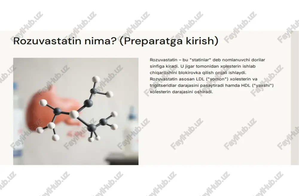 novtor rozuvastatin - Page 2